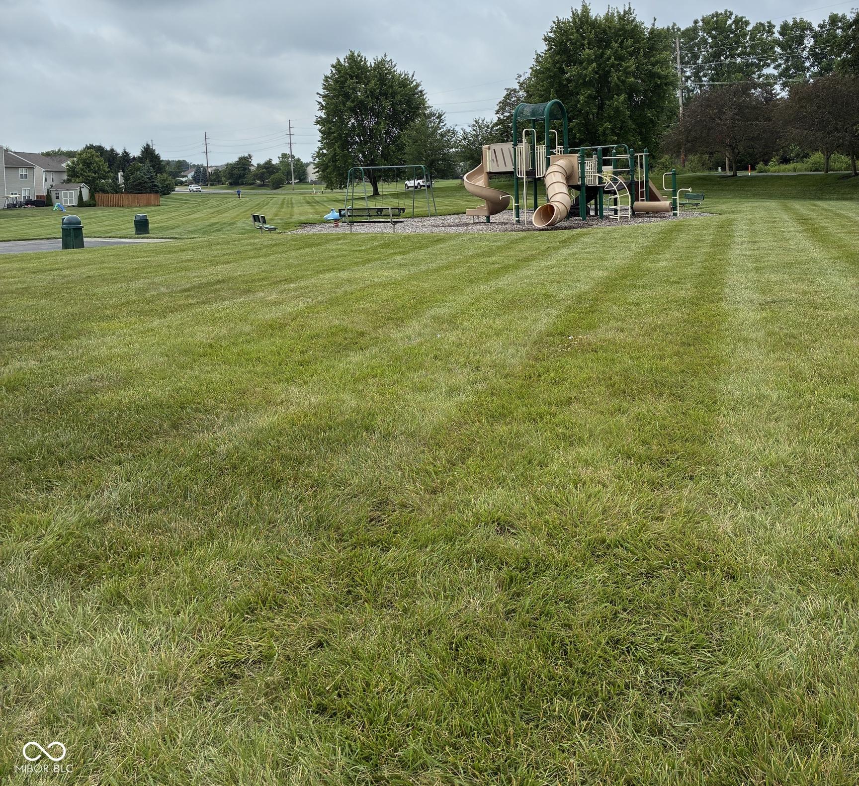 Photo #56