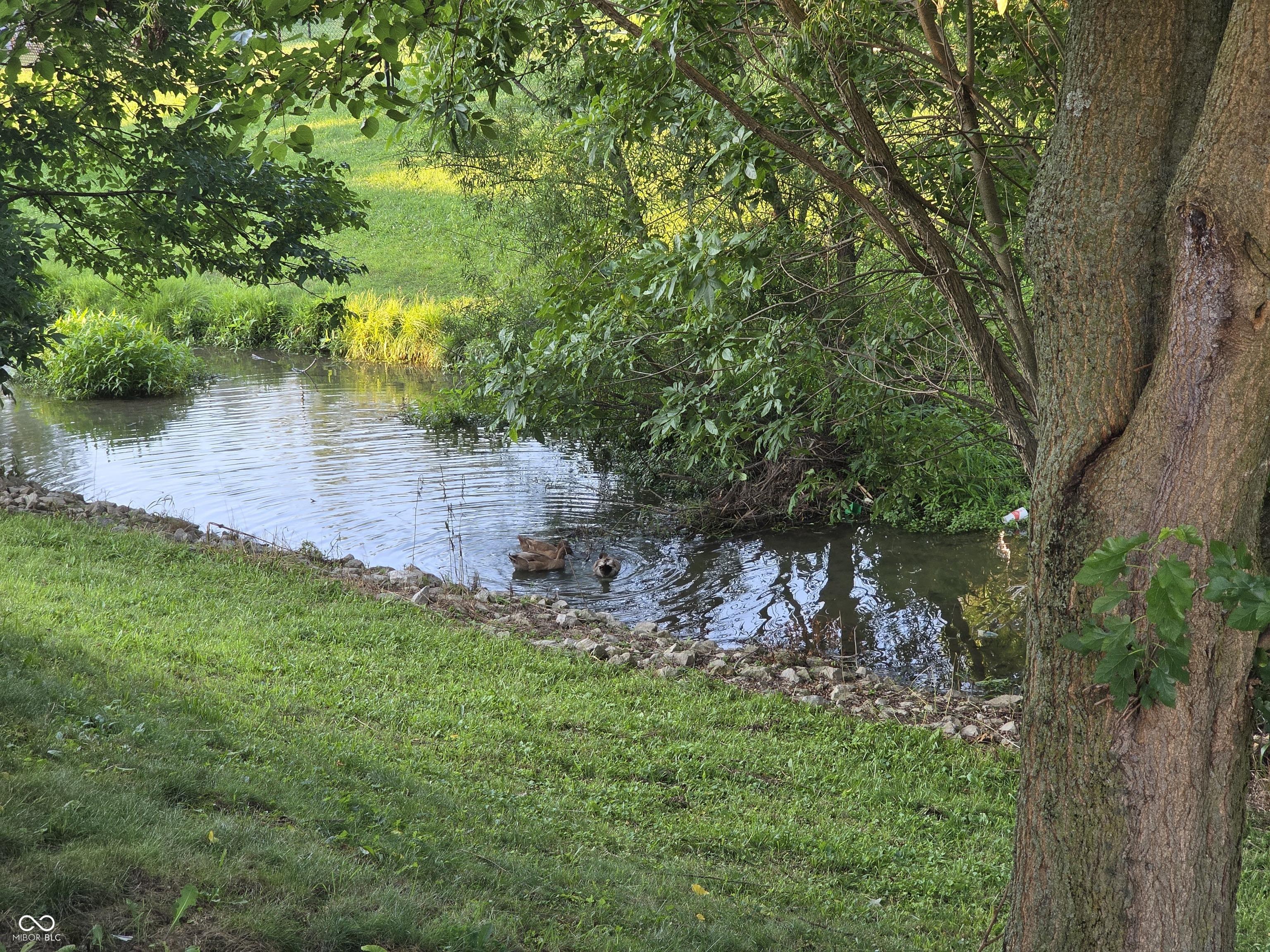 Photo #18