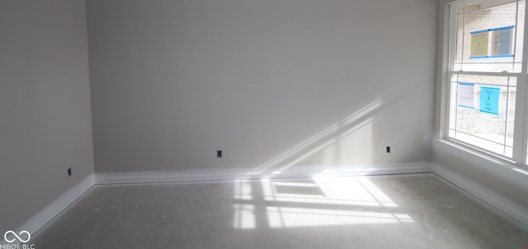 Photo #11