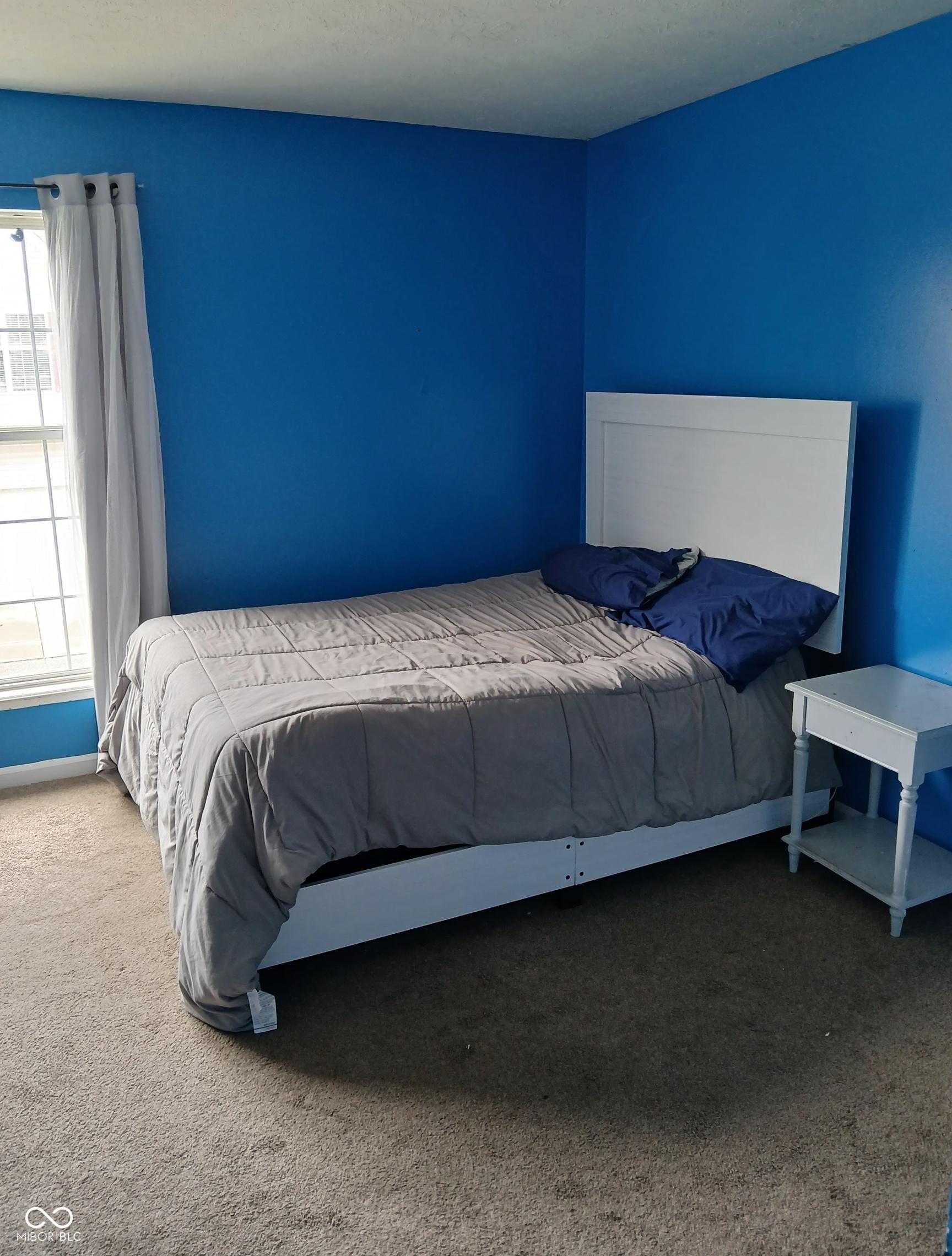 Photo #19