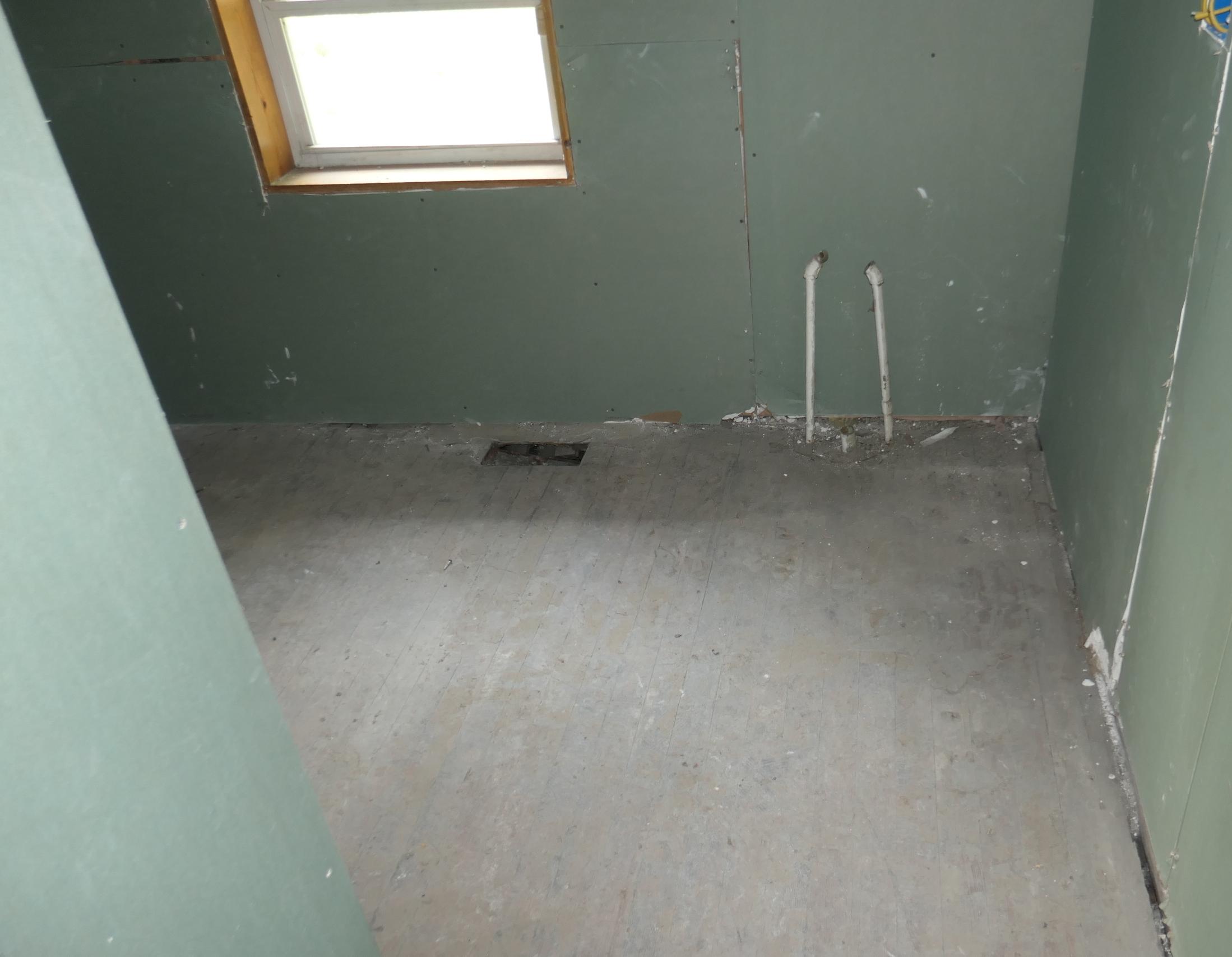 Photo #12