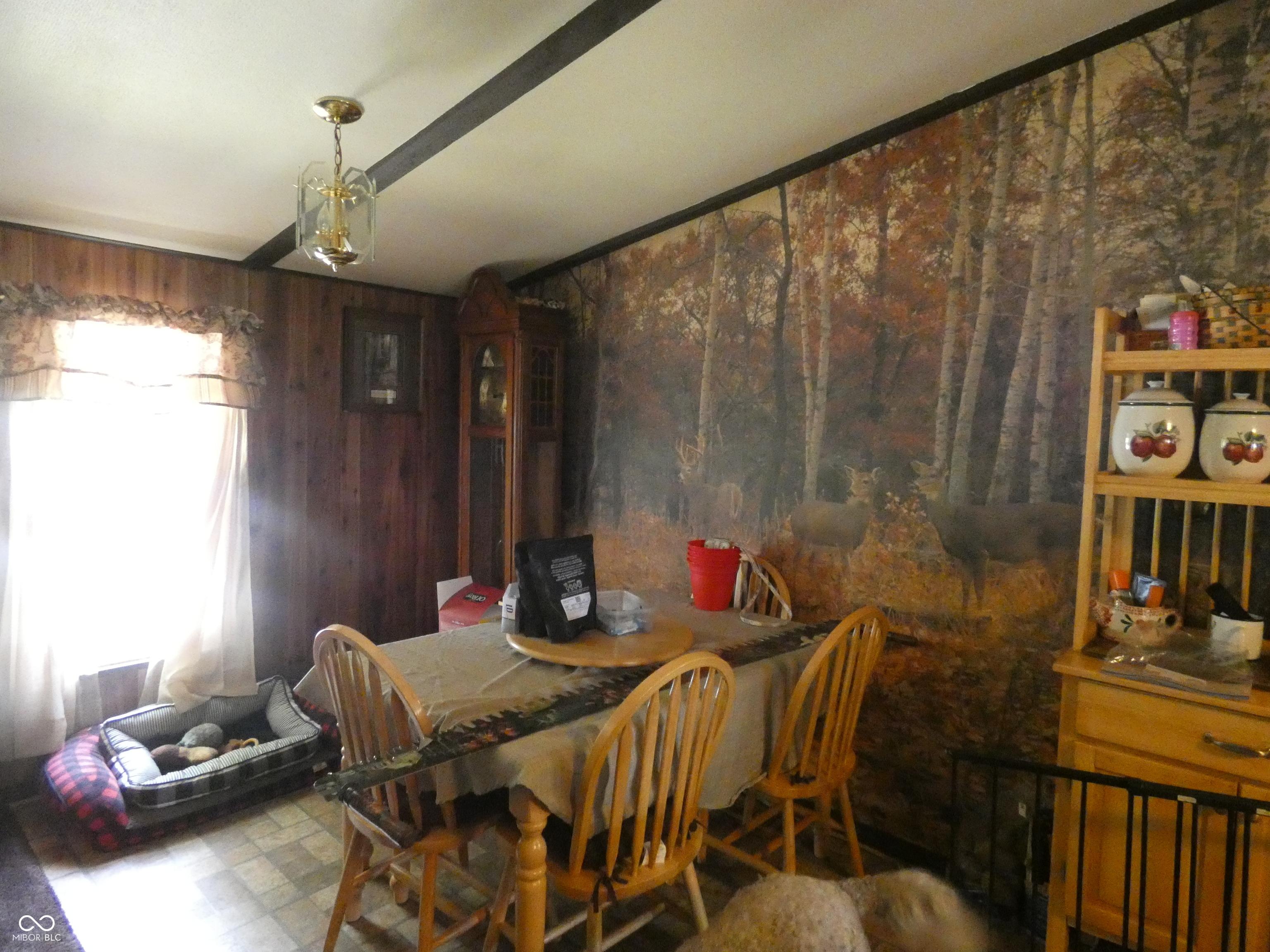Photo #43
