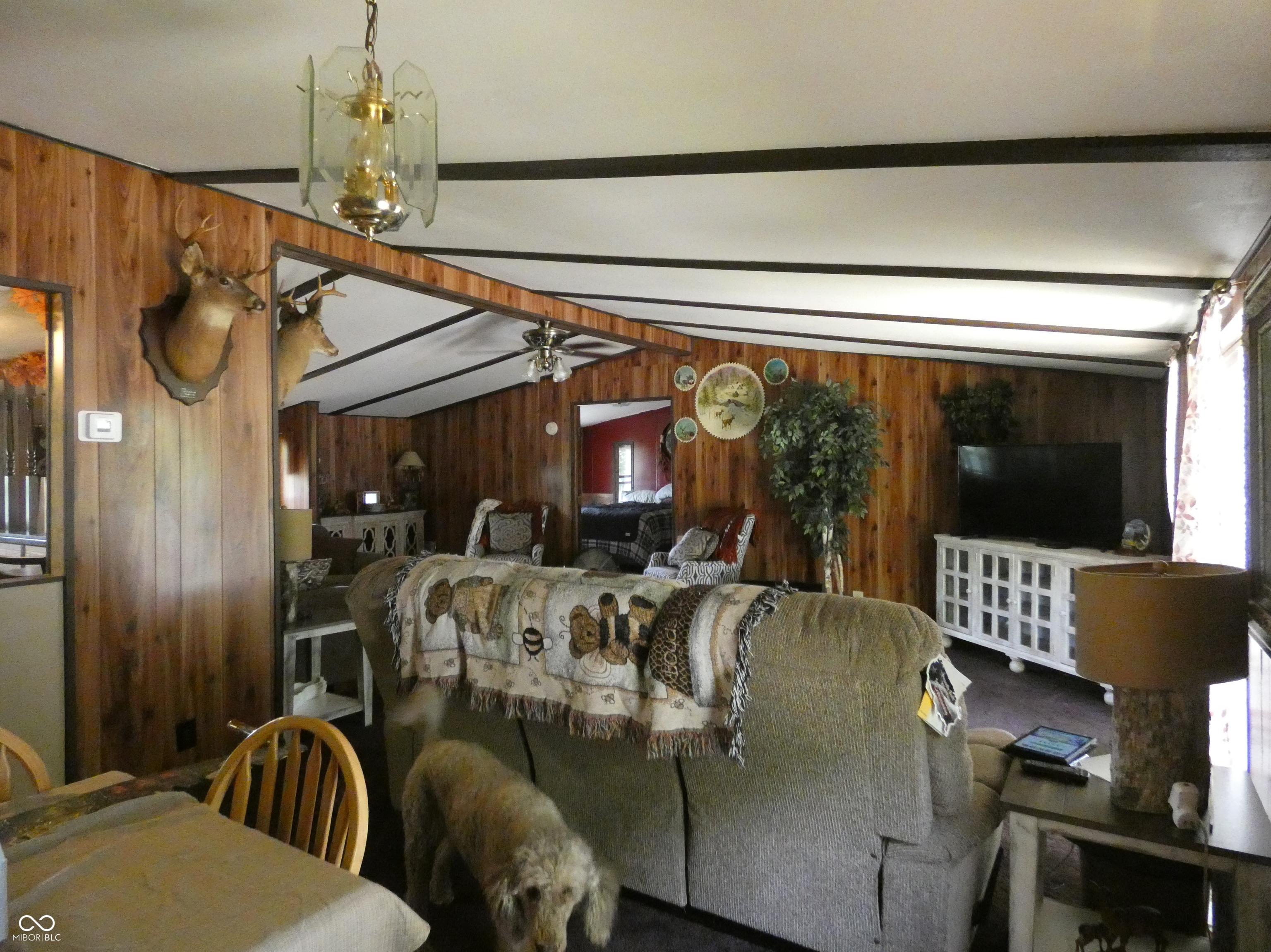 Photo #44