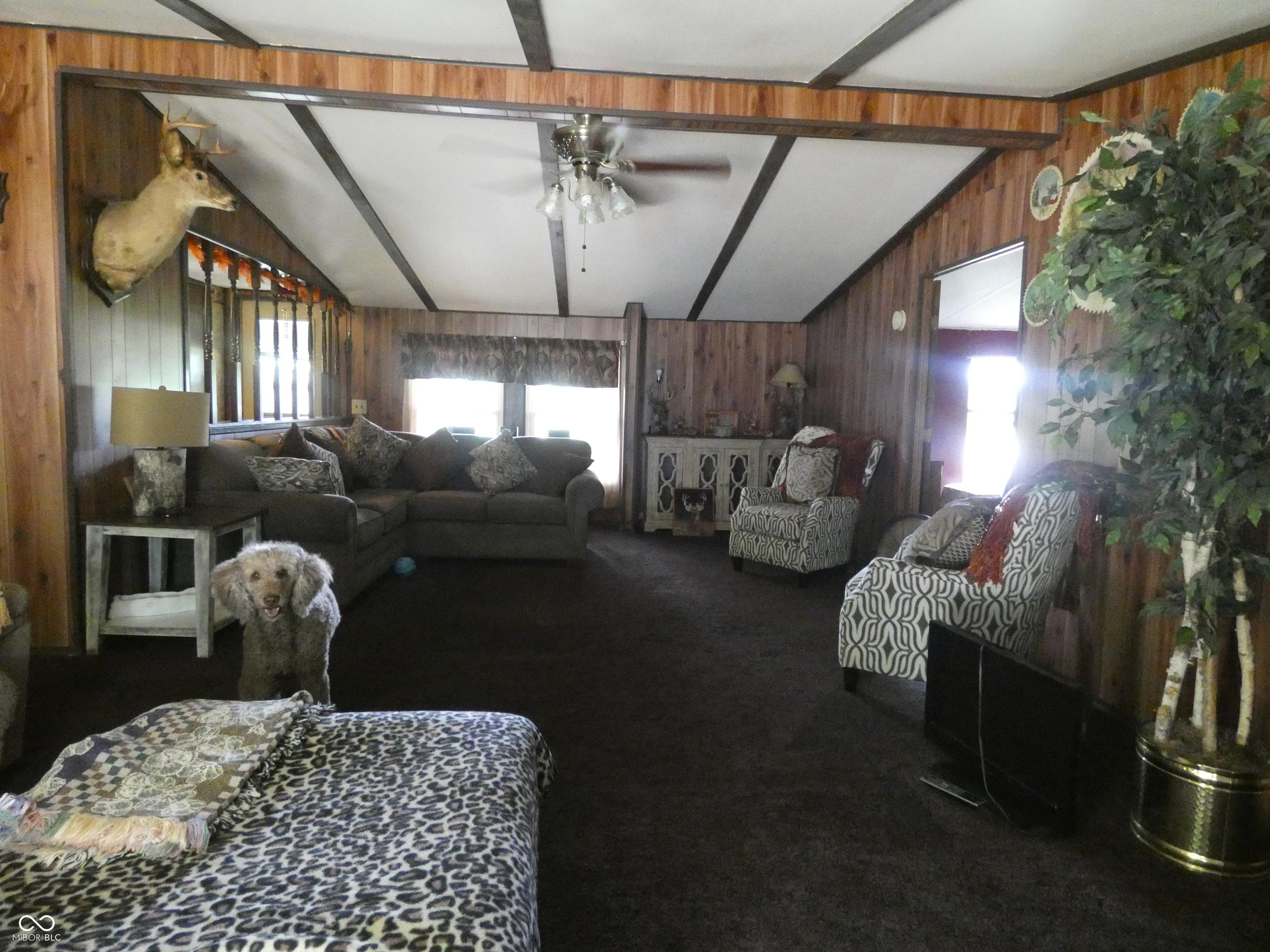 Photo #49