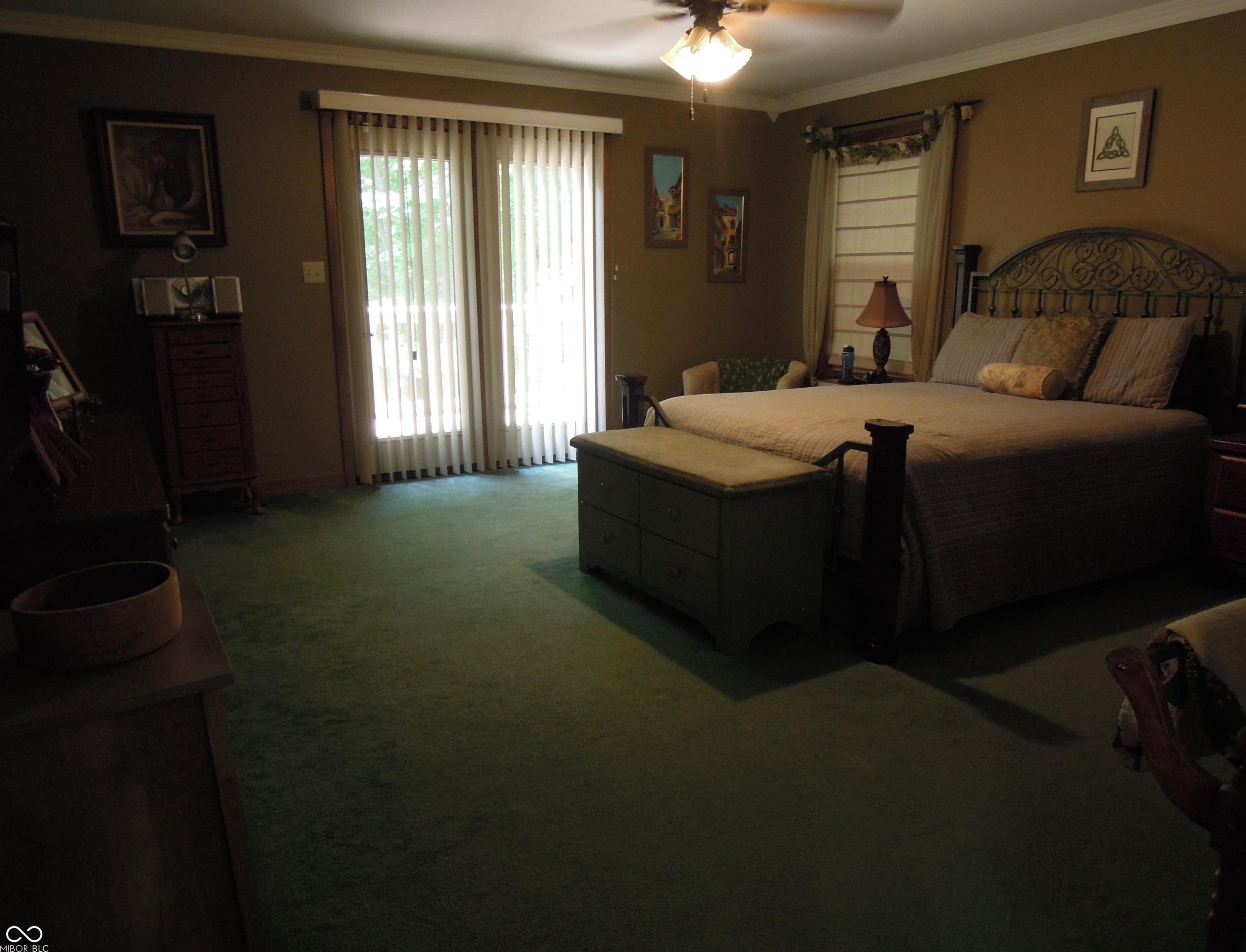 Photo #9