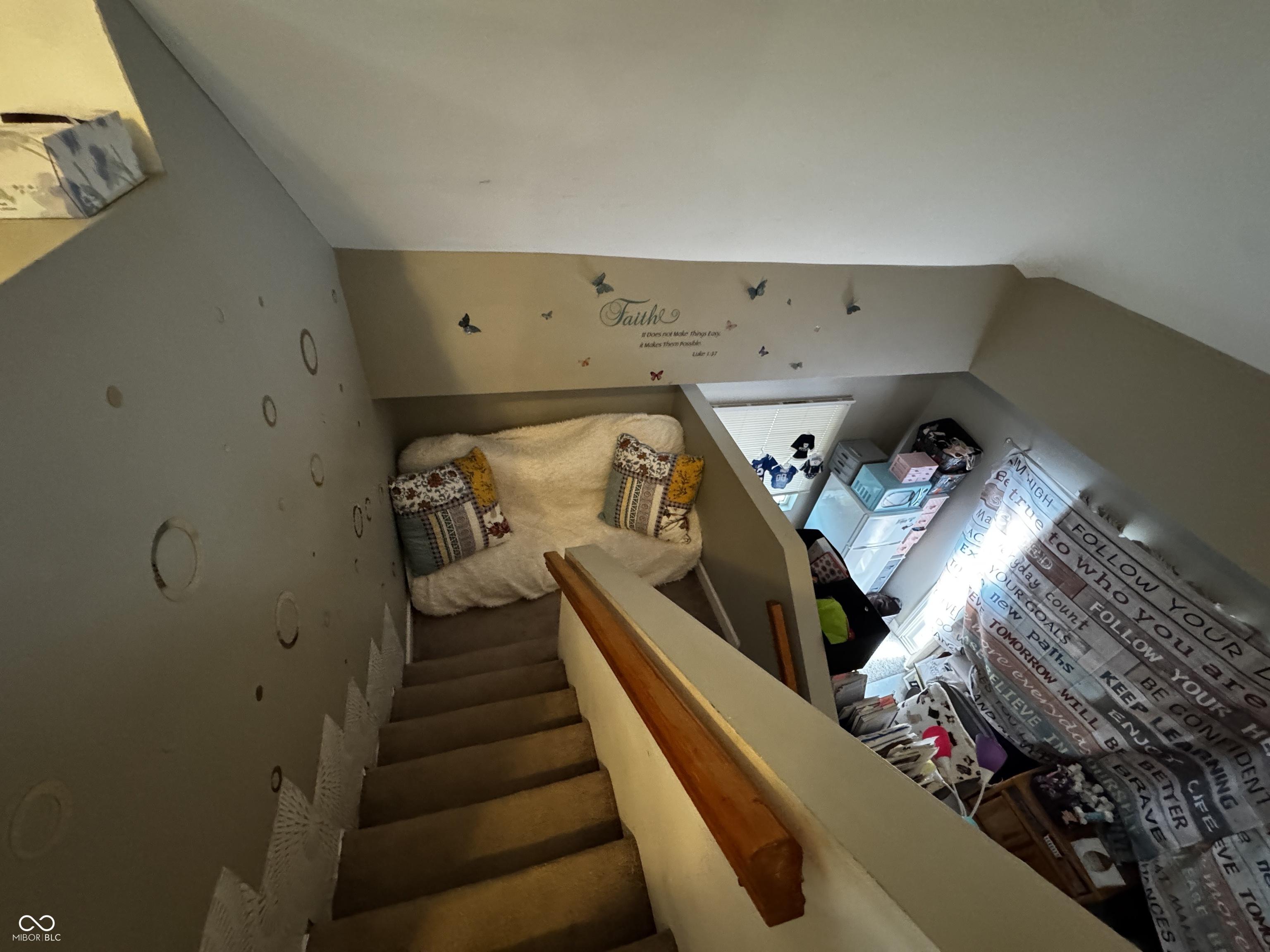 Photo #12