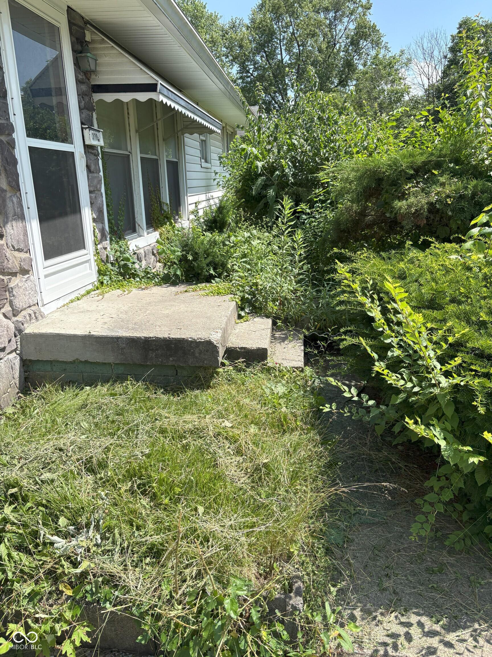 Photo #2