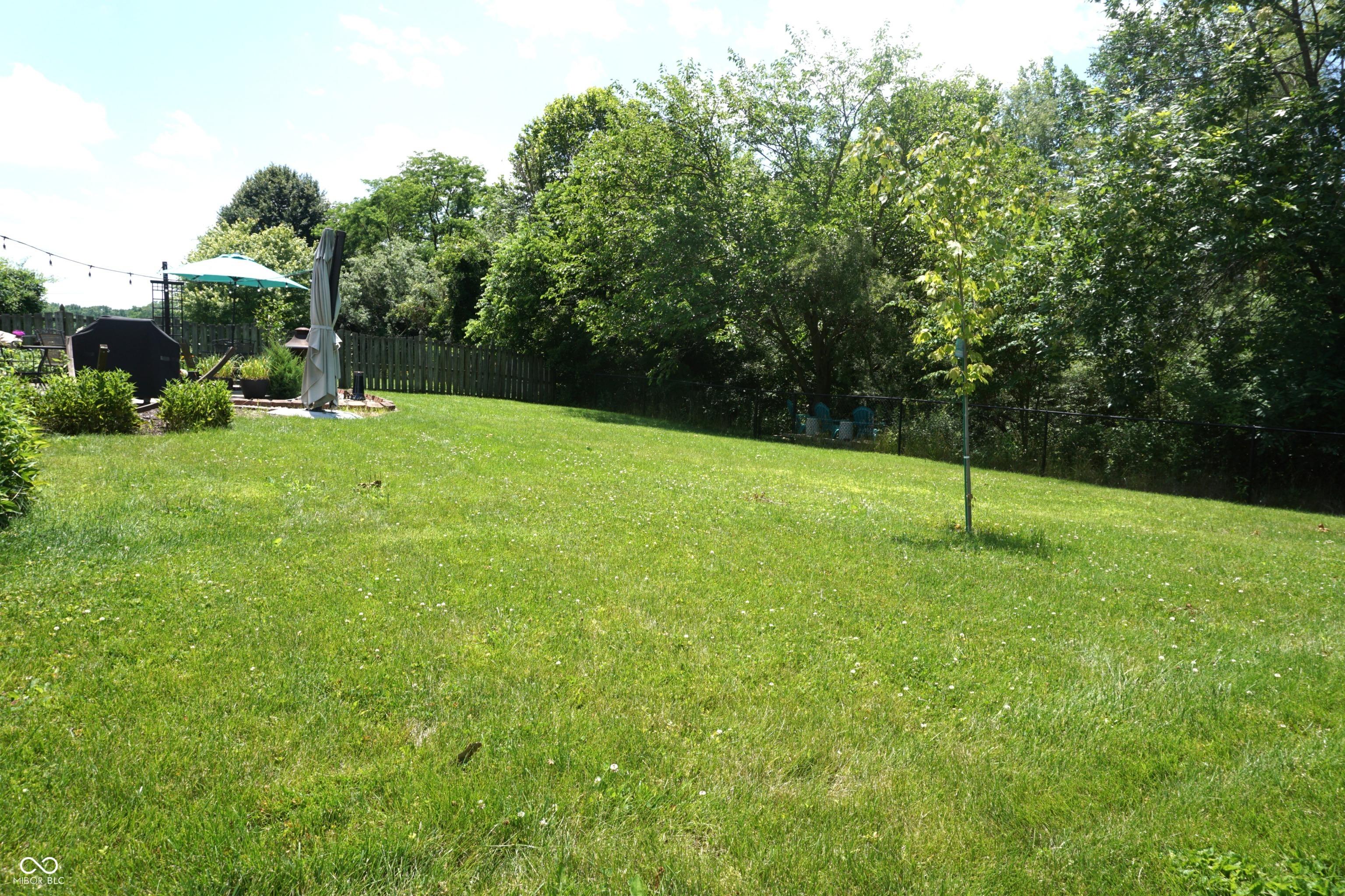 Photo #30