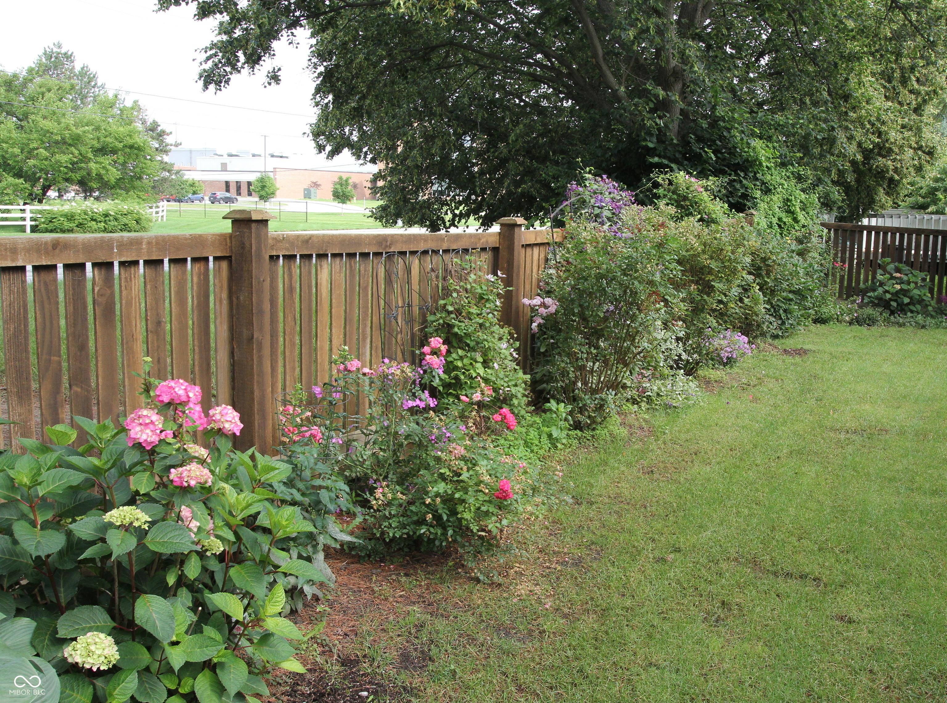 Photo #19