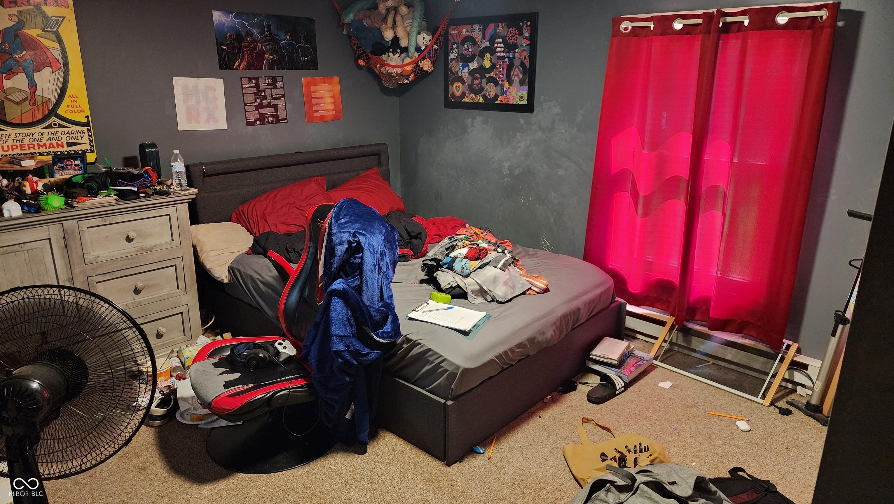 Photo #12
