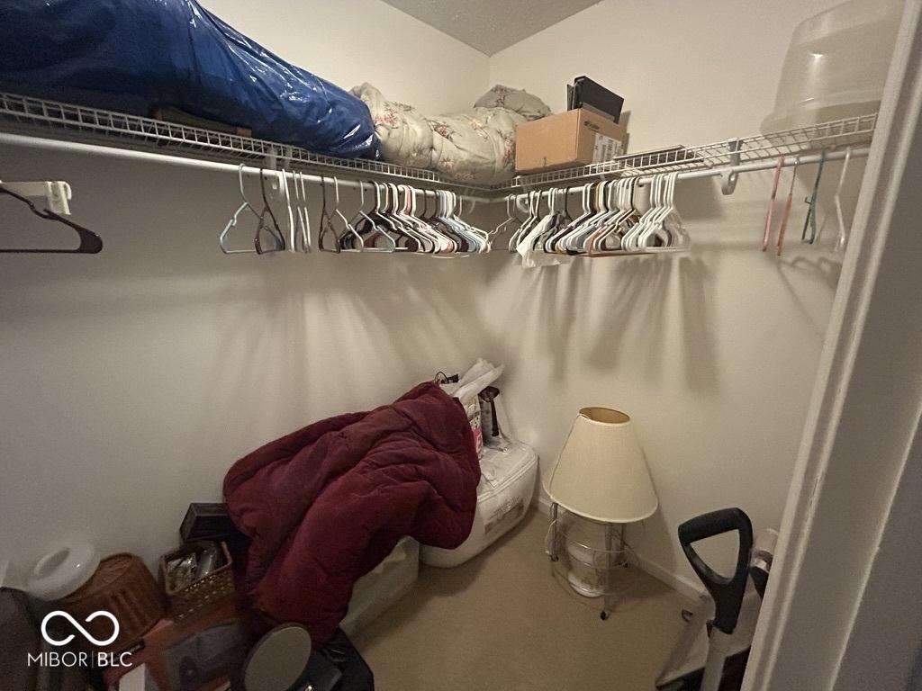 Photo #24