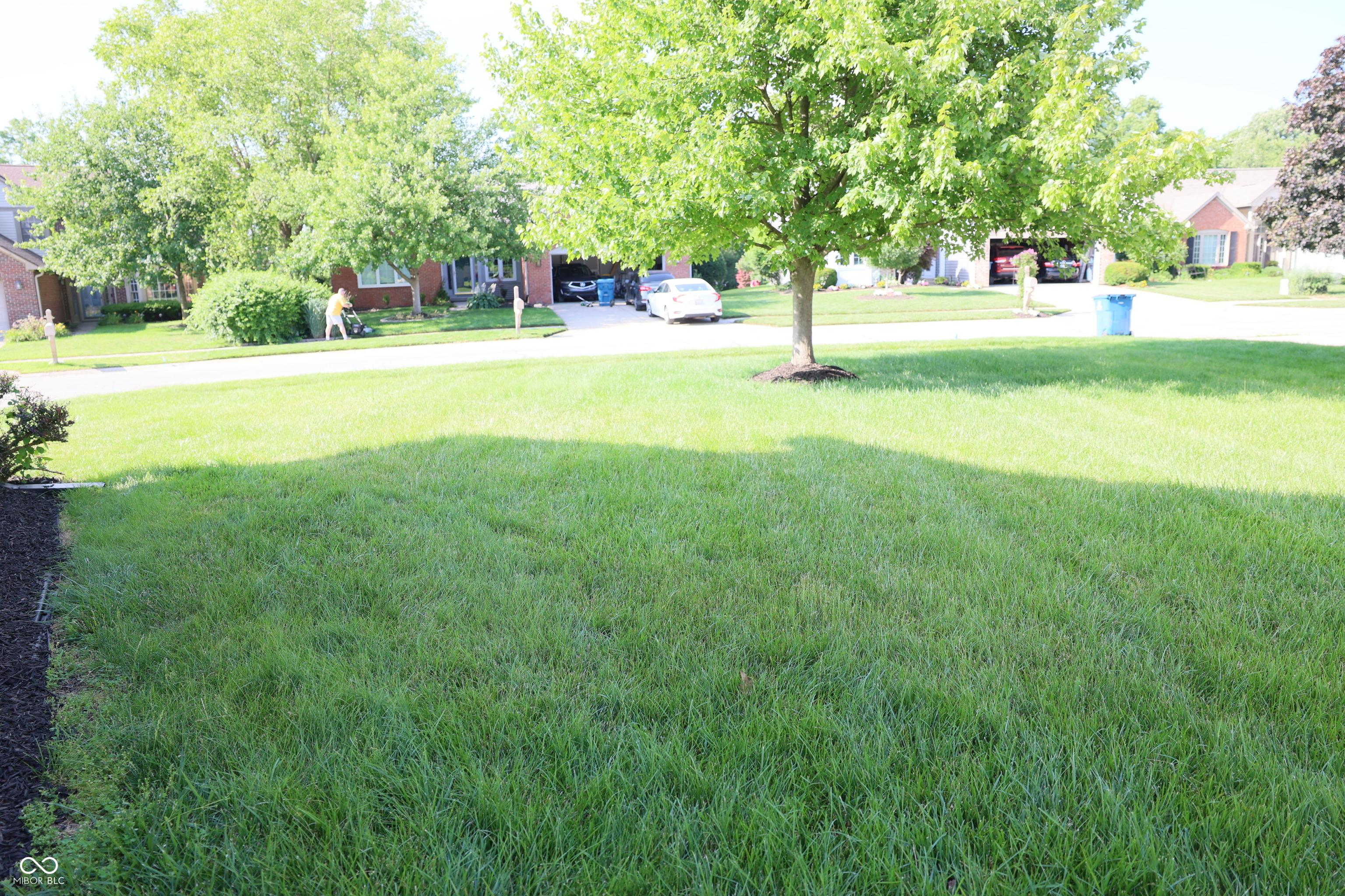 Photo #60