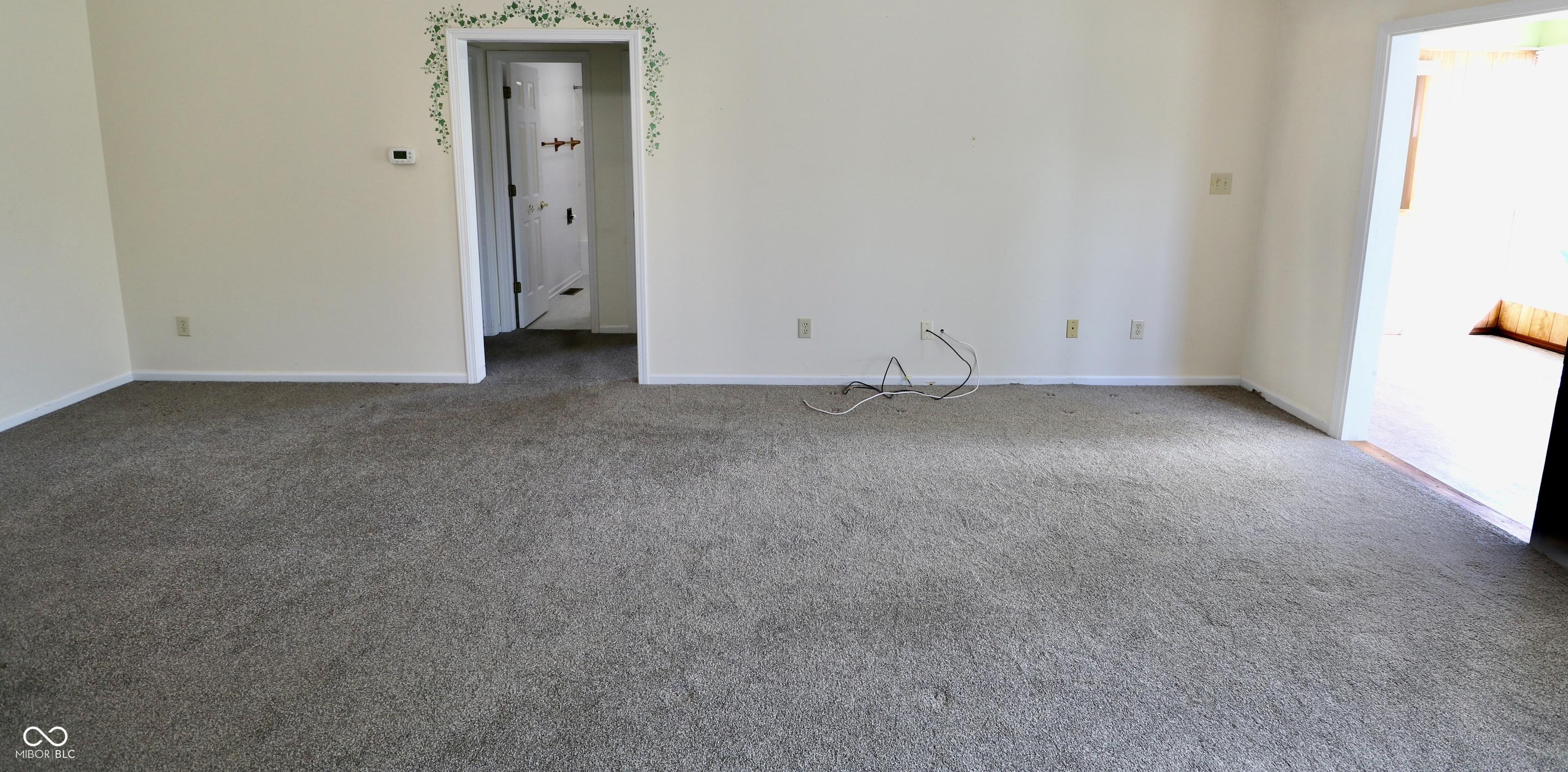 Photo #24