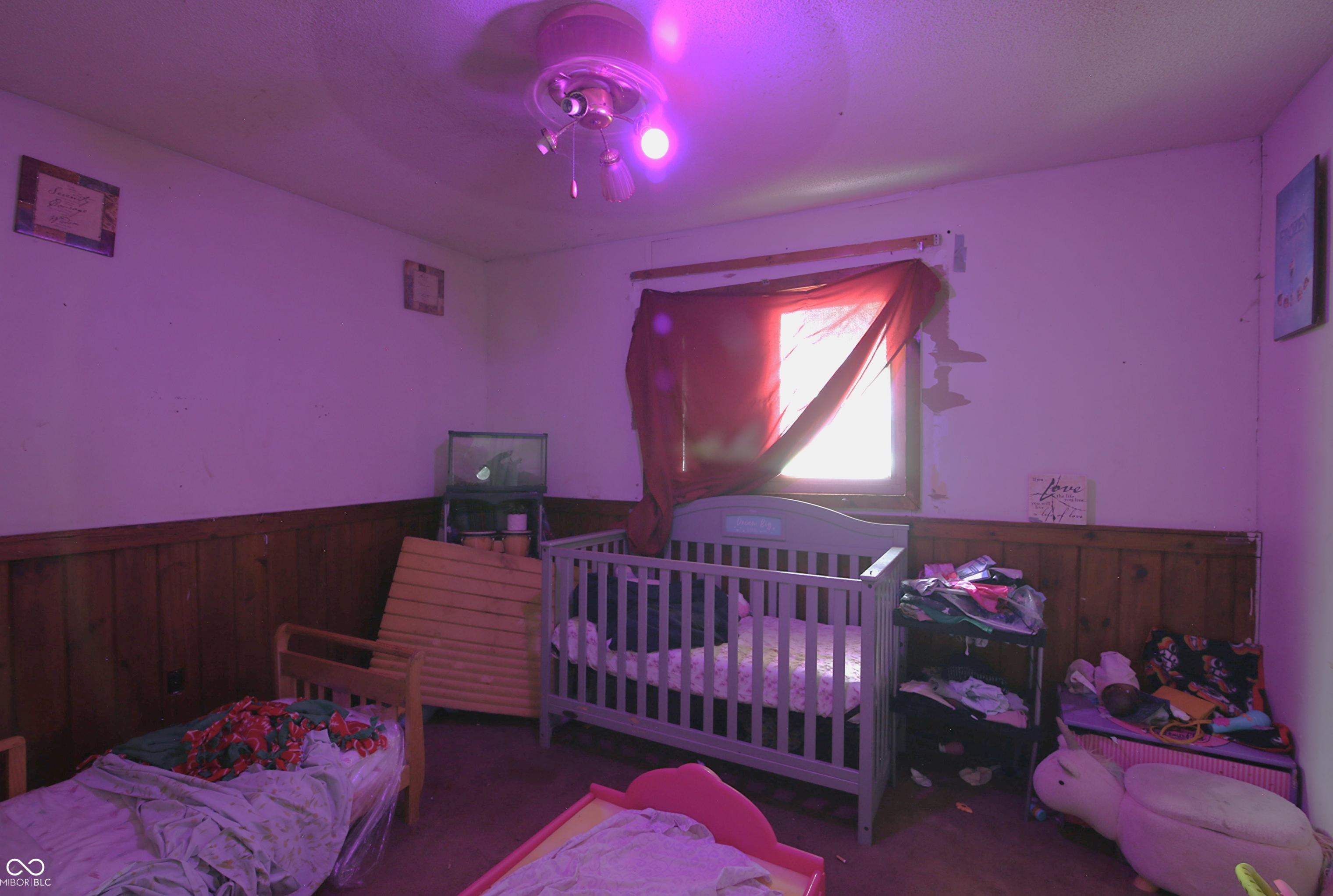 Photo #15