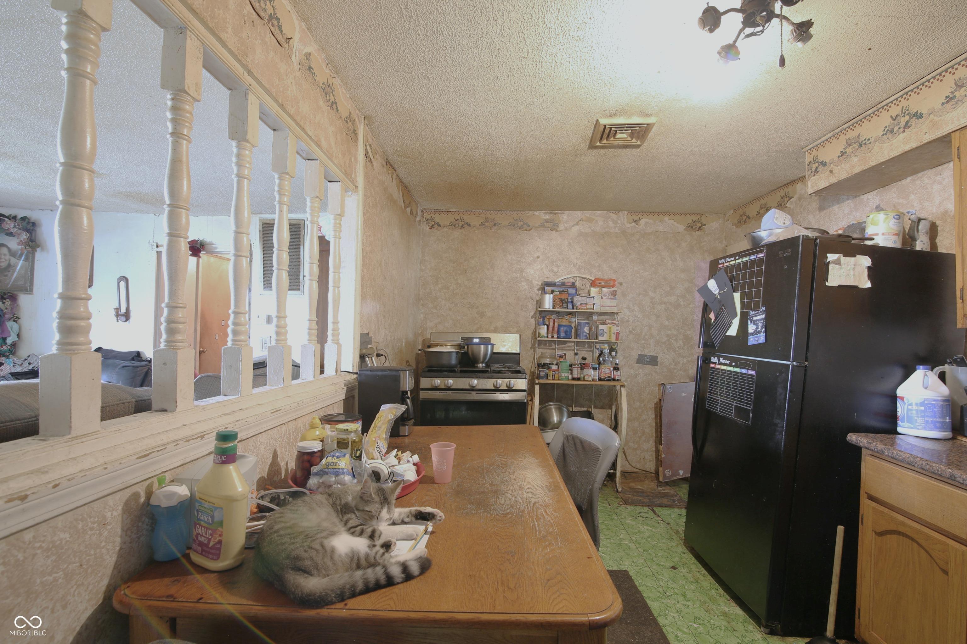 Photo #8