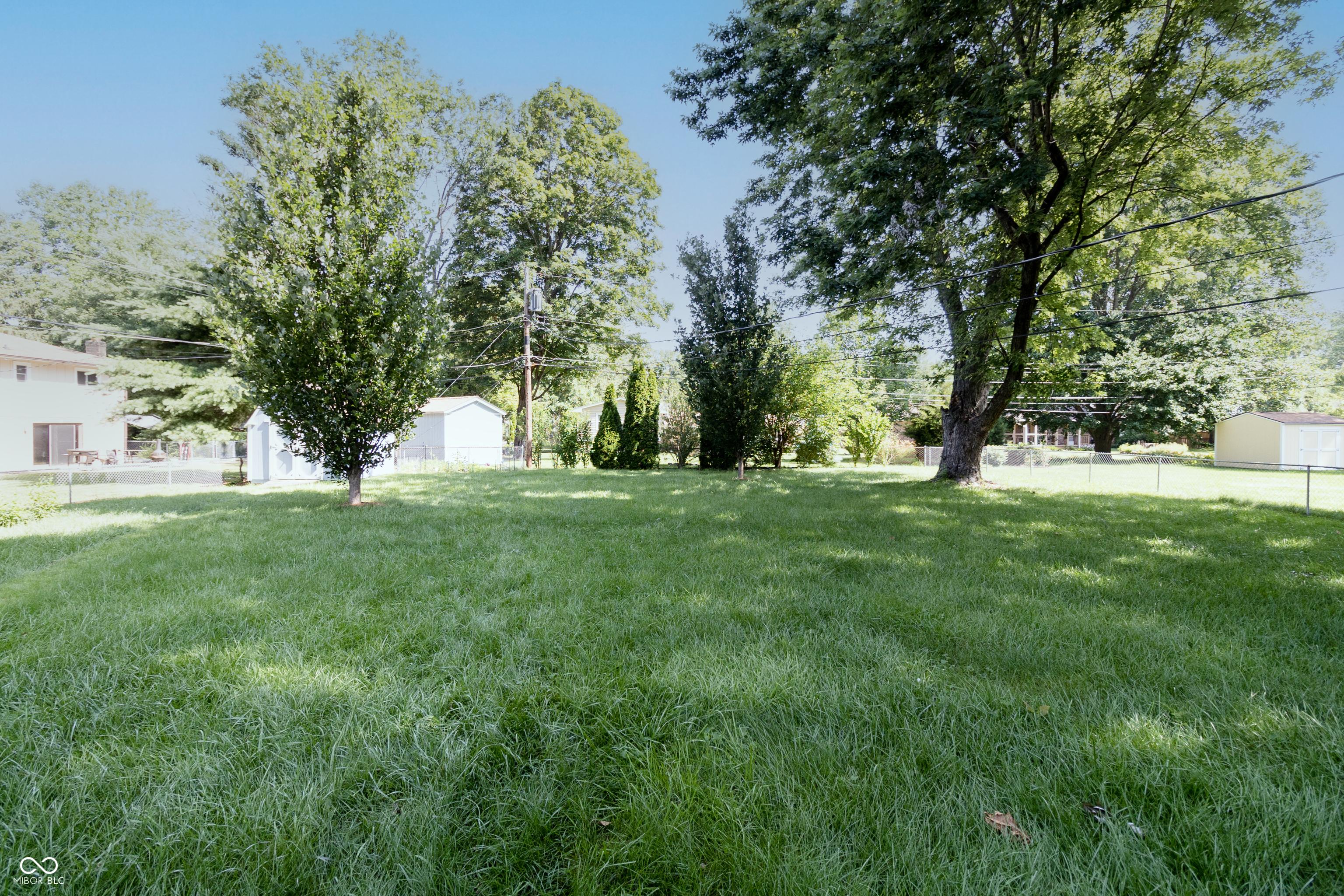 Photo #42