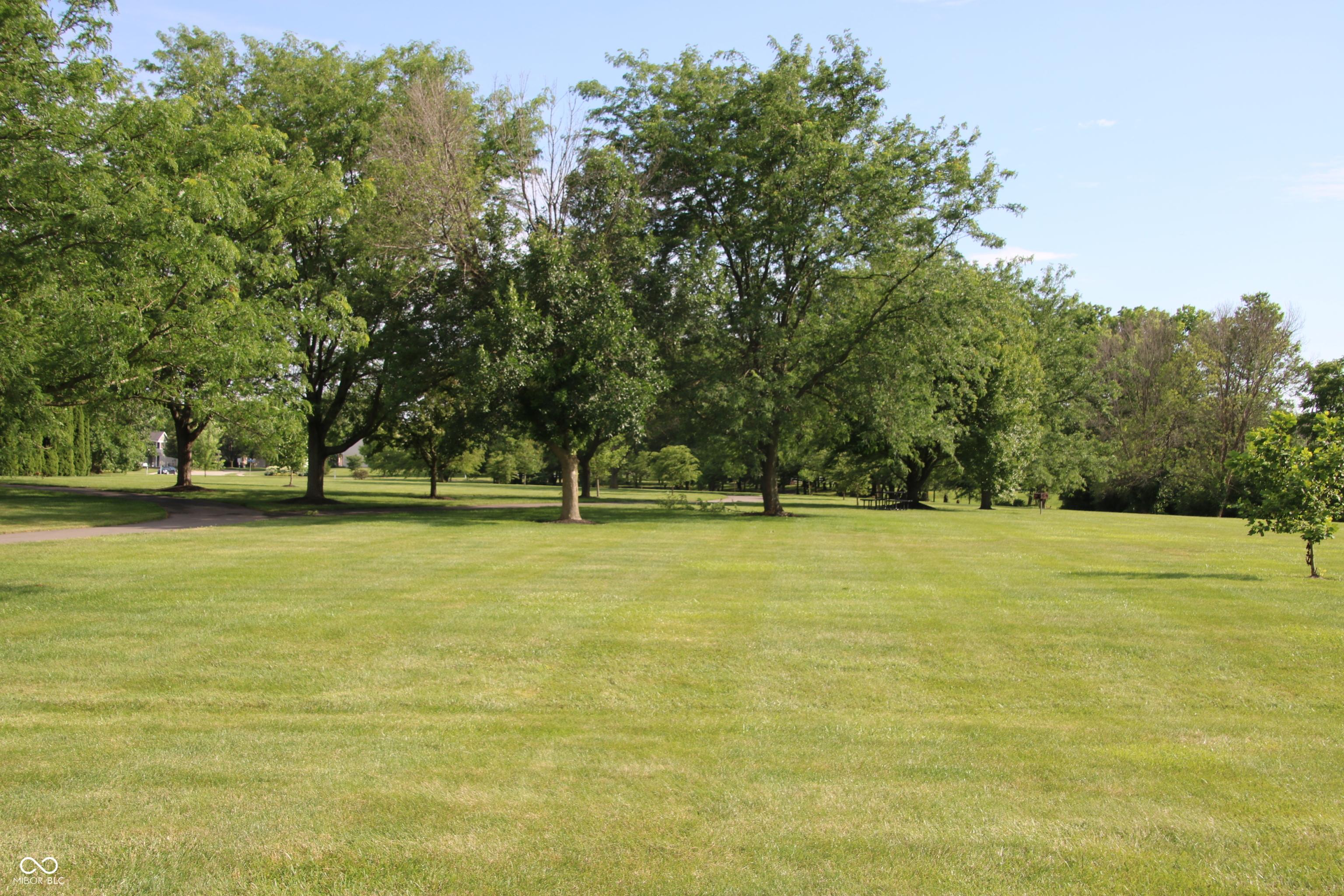 Photo #52