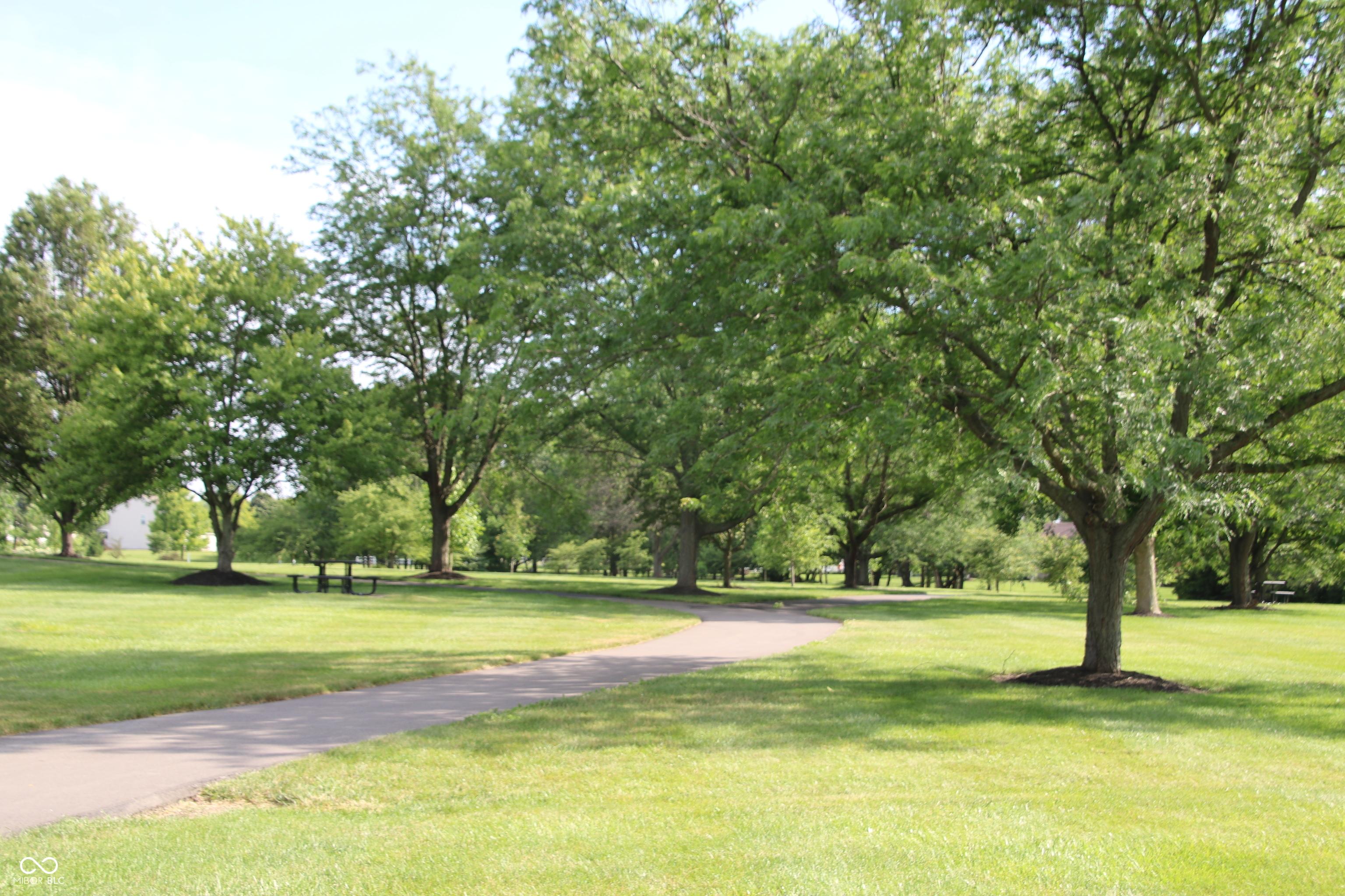Photo #44