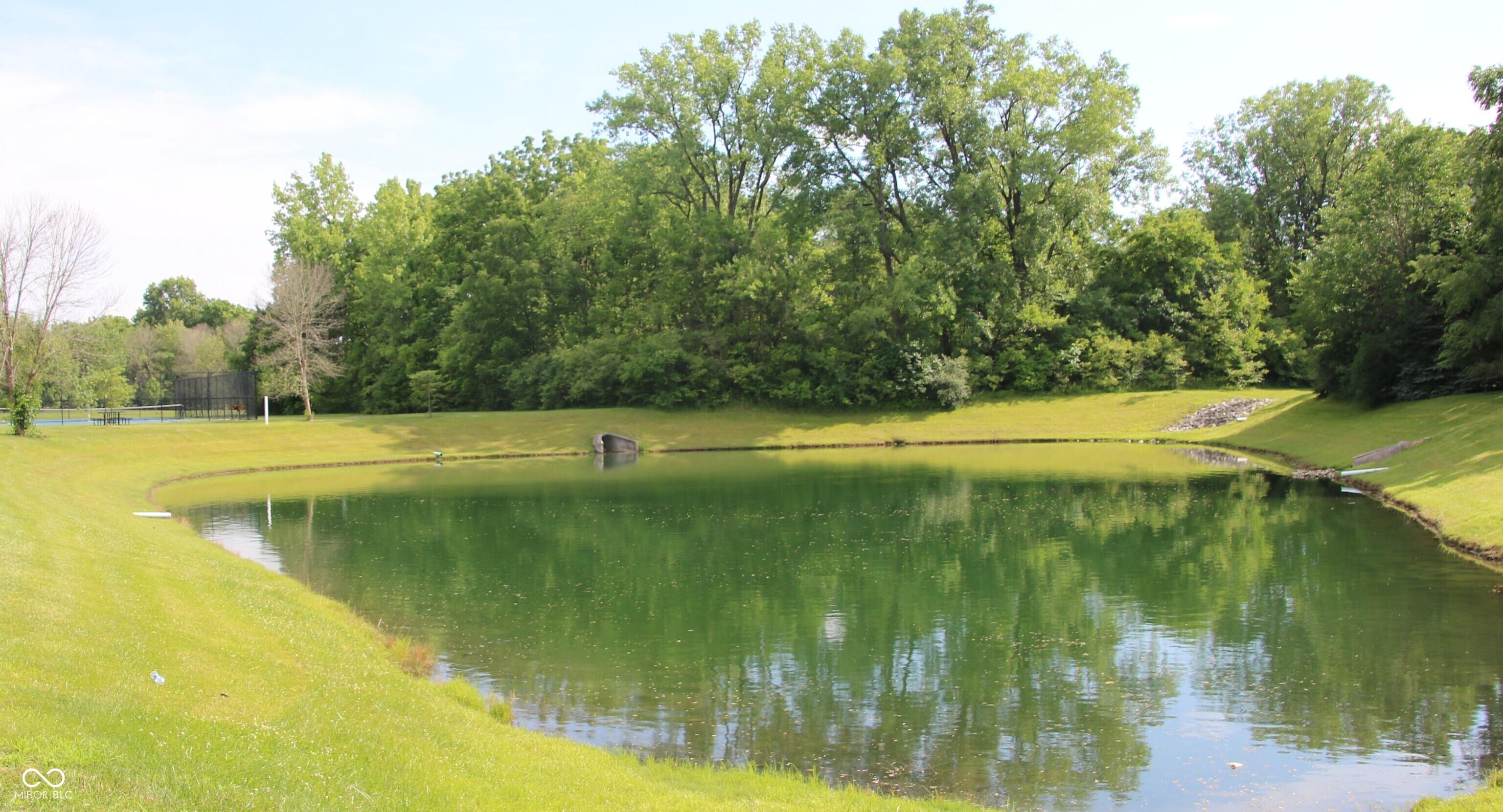 Photo #51