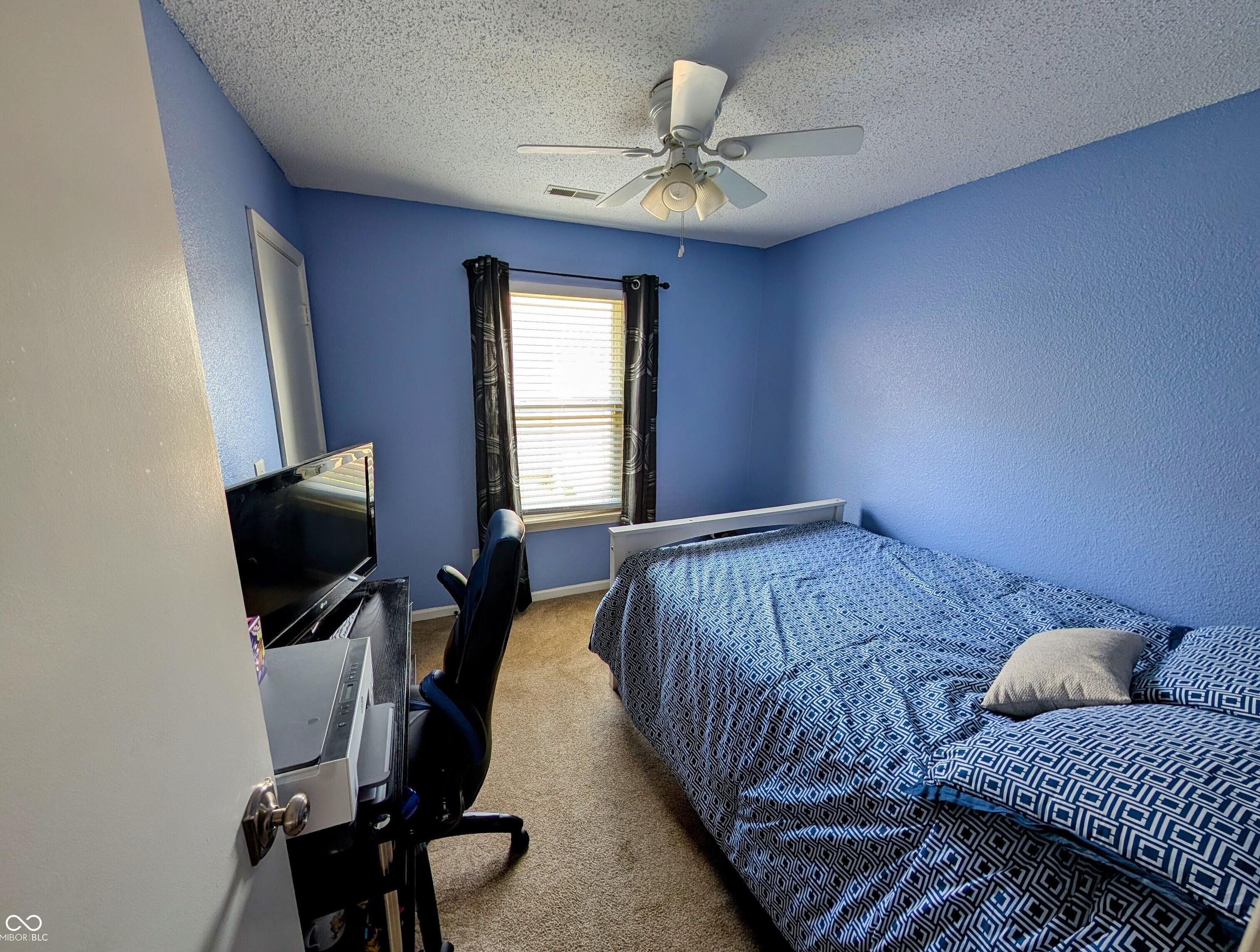 Photo #14