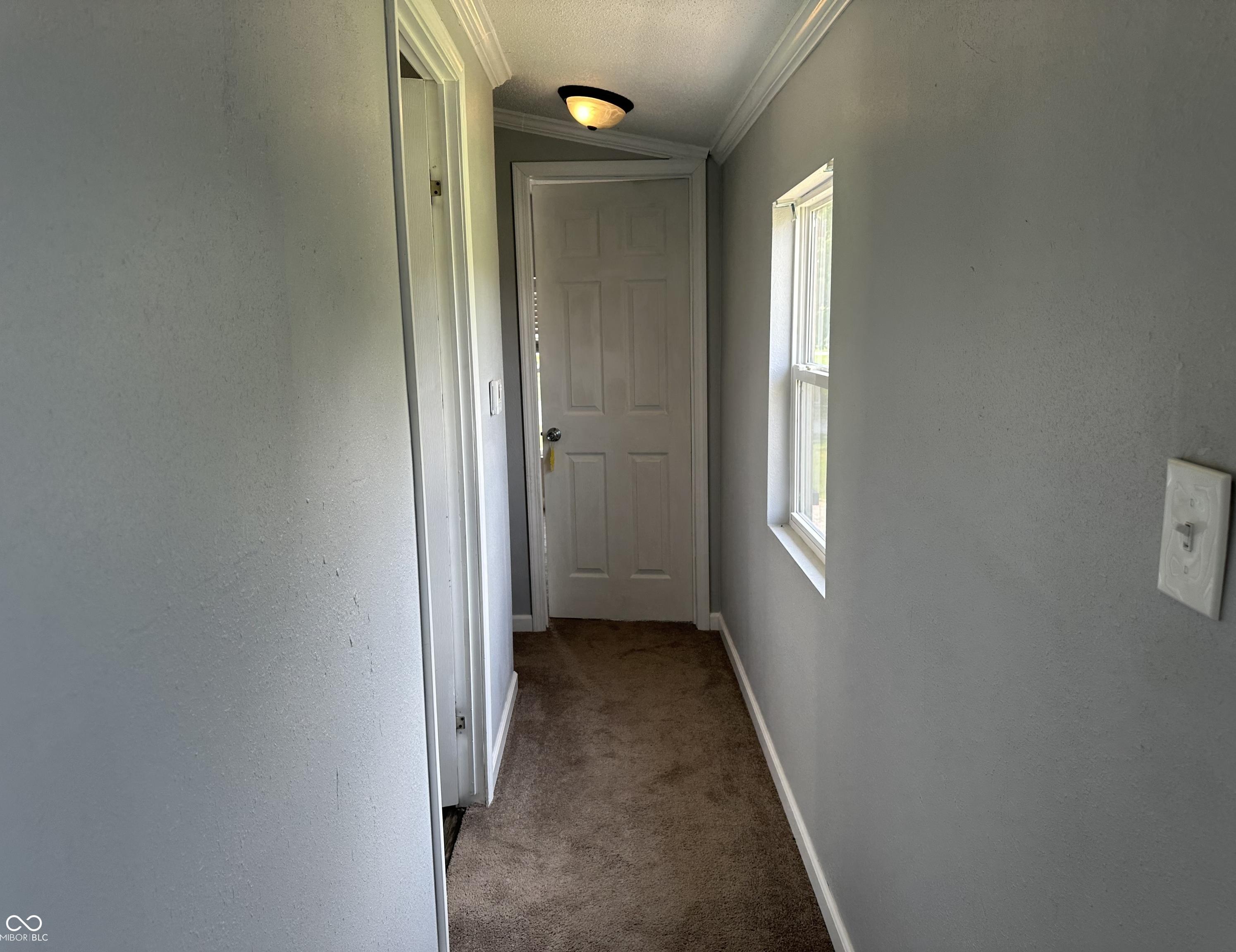Photo #18