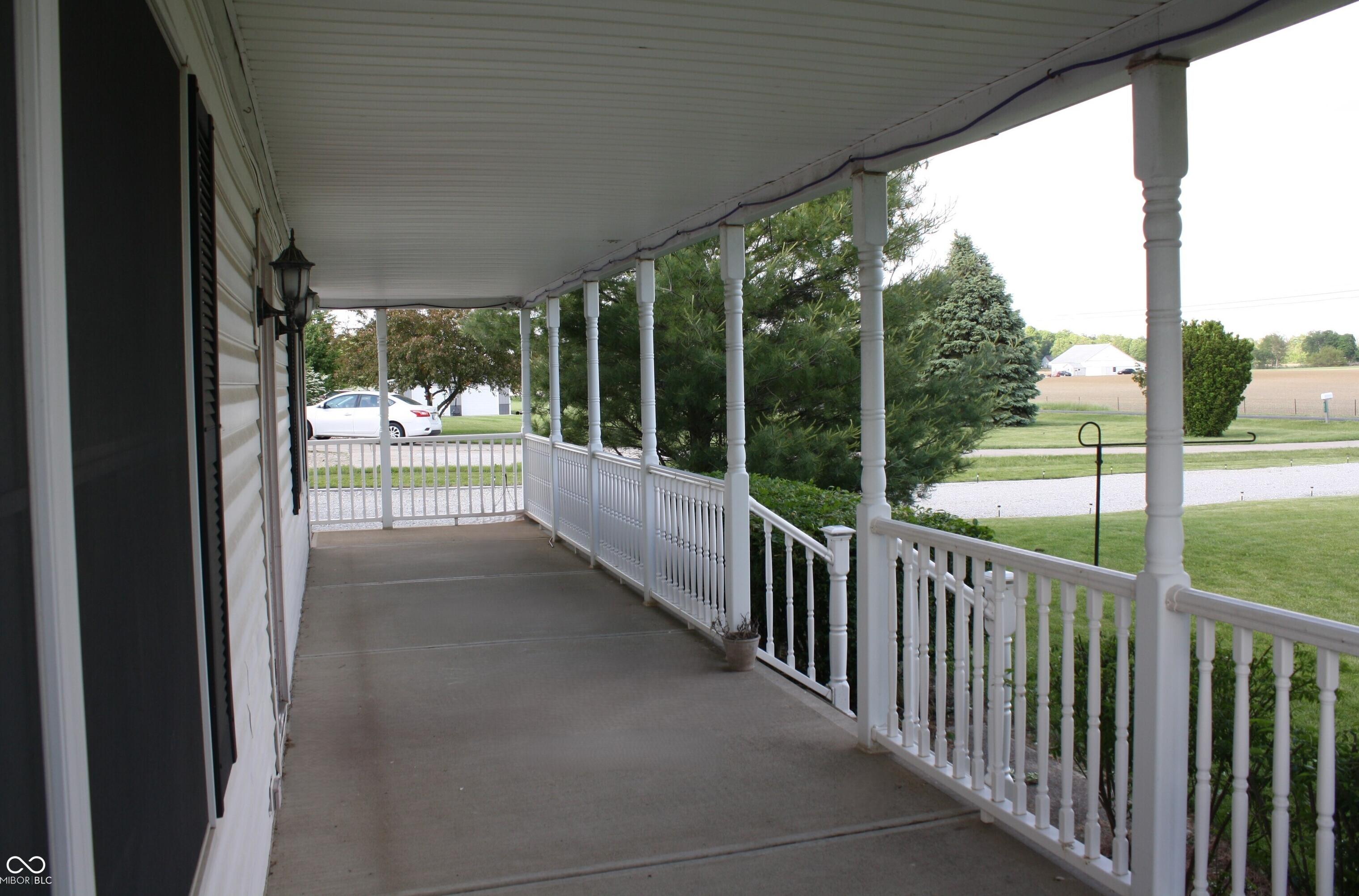 Photo #8