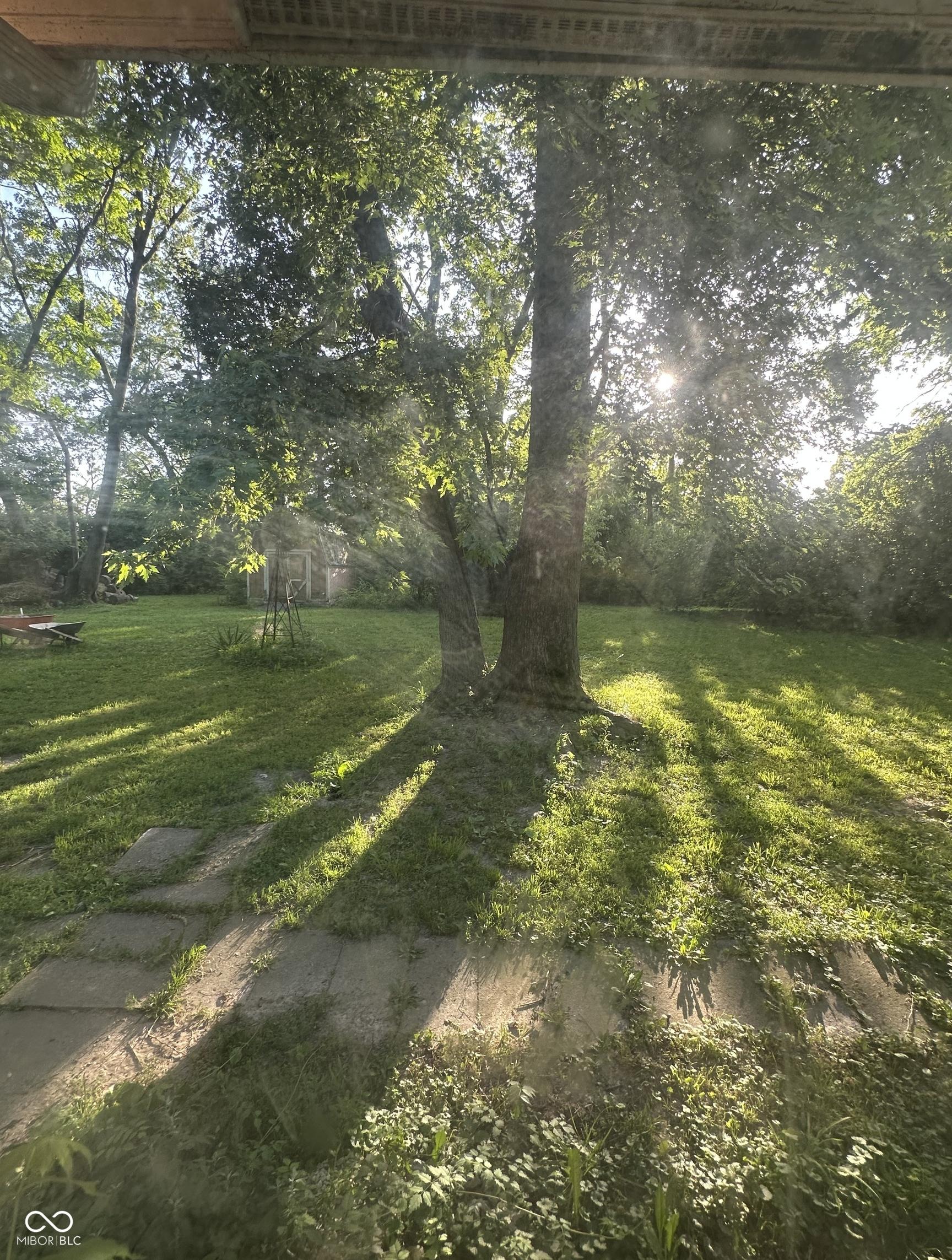 Photo #35