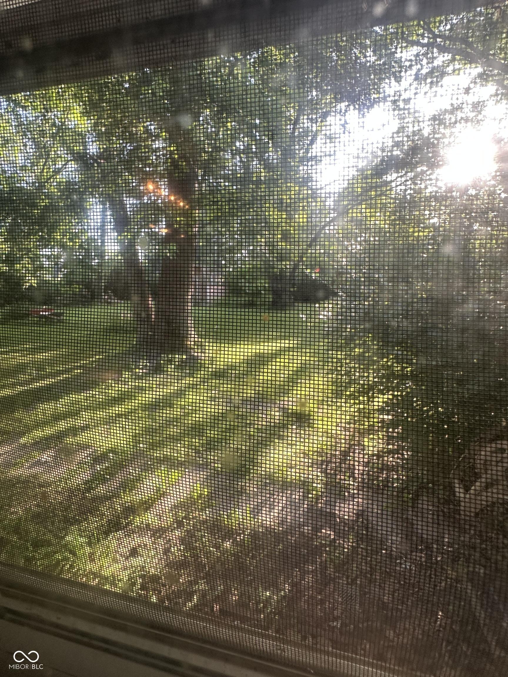 Photo #34