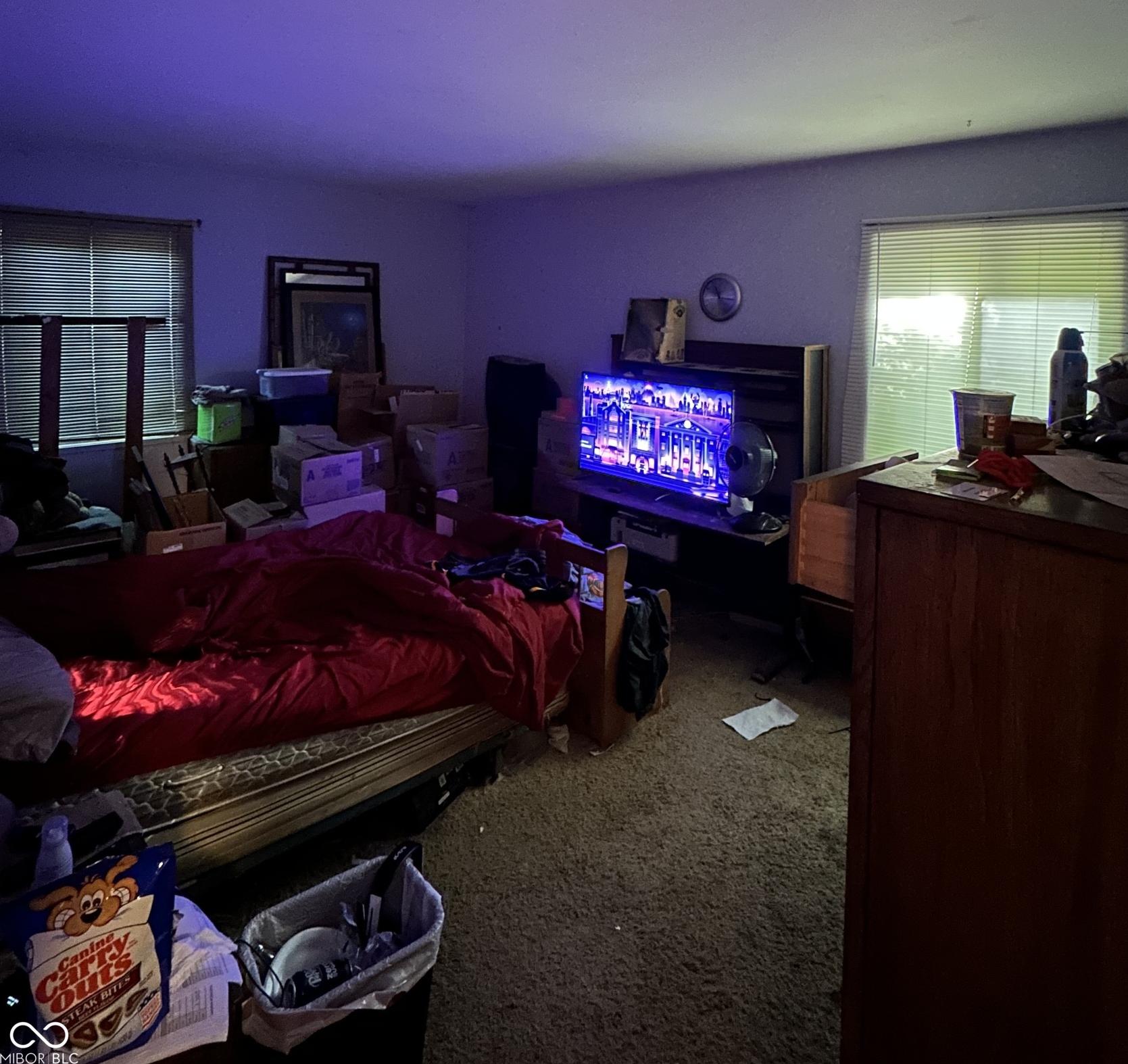 Photo #10
