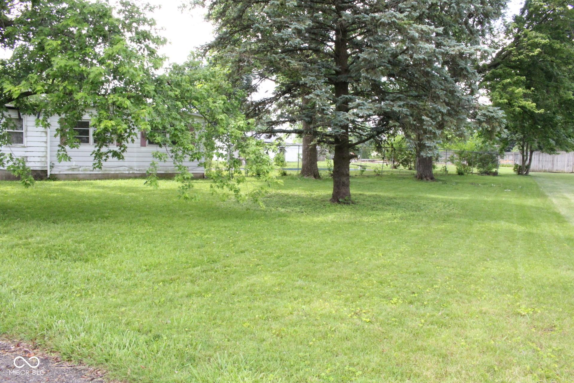 Photo #4