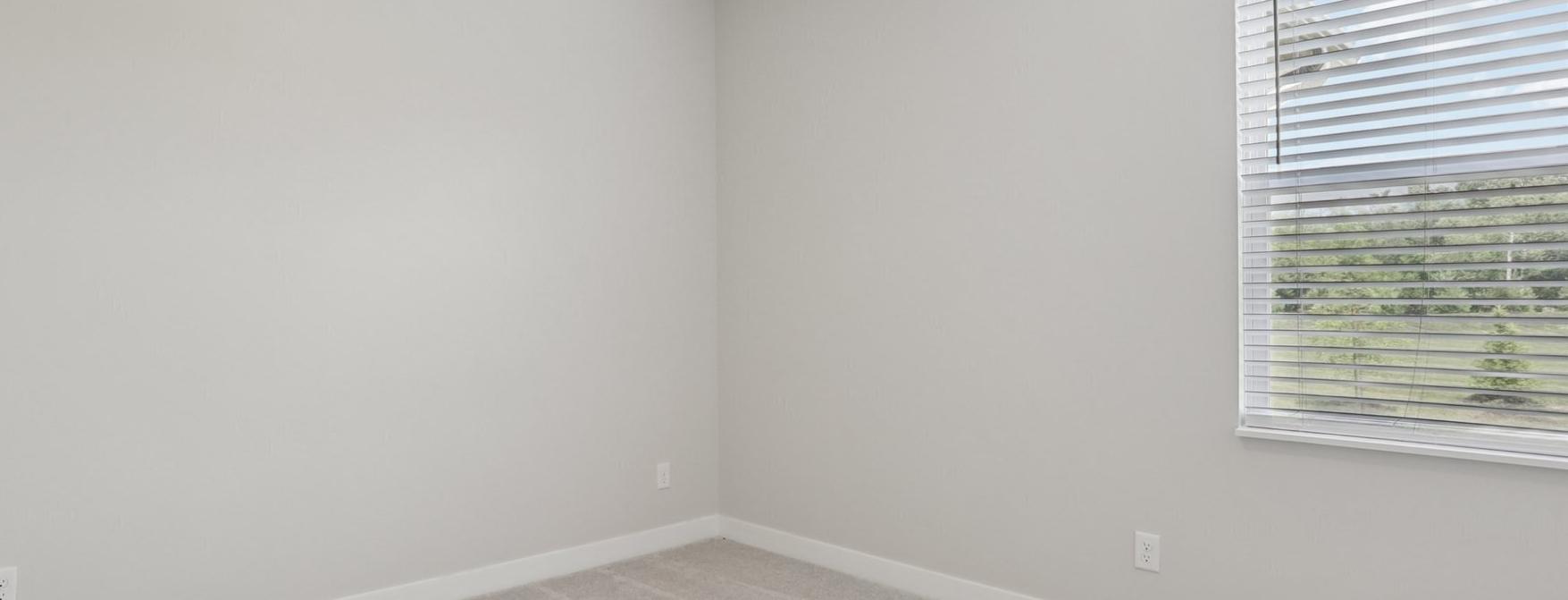 Photo #17