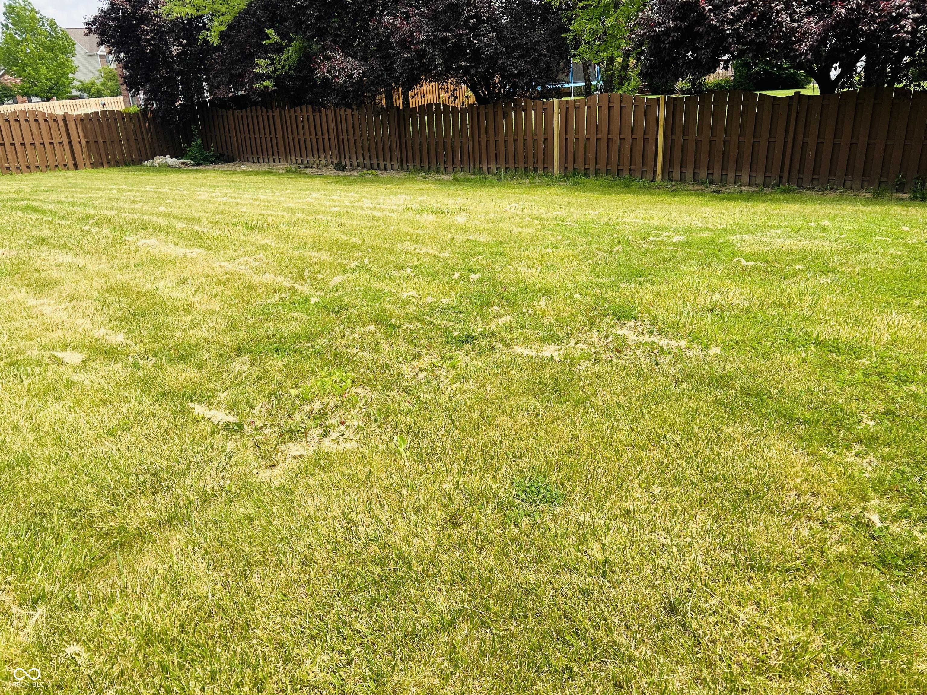 Photo #38