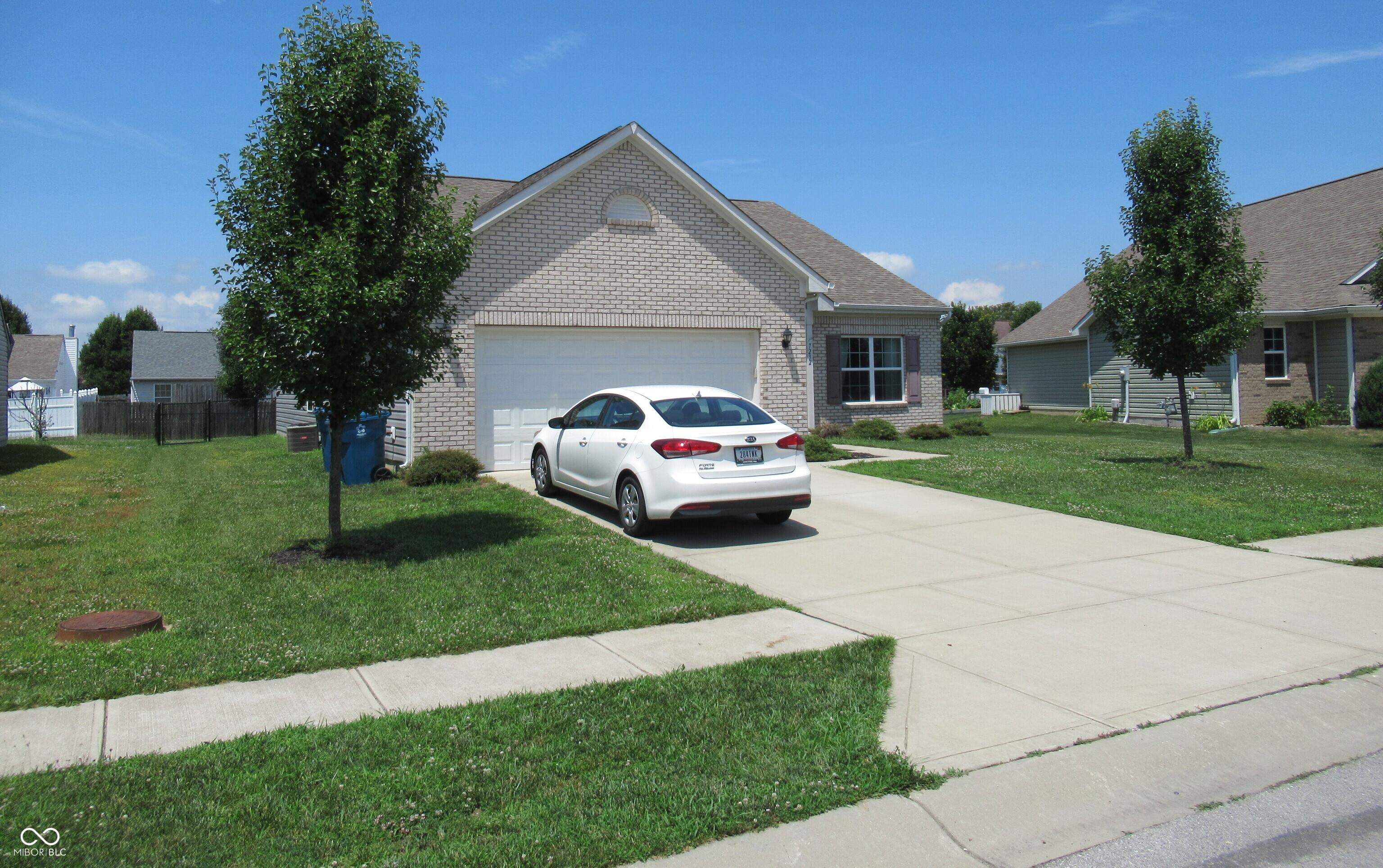 Photo #43