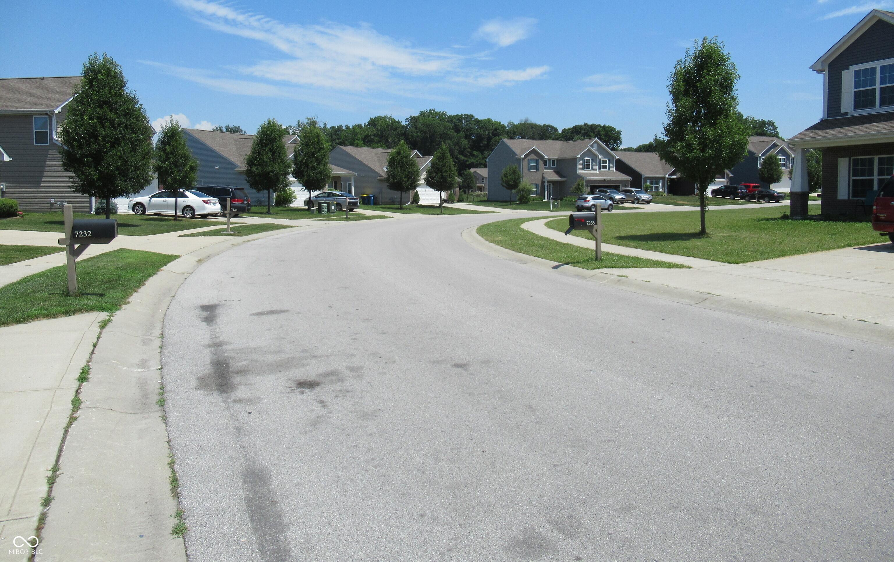 Photo #46