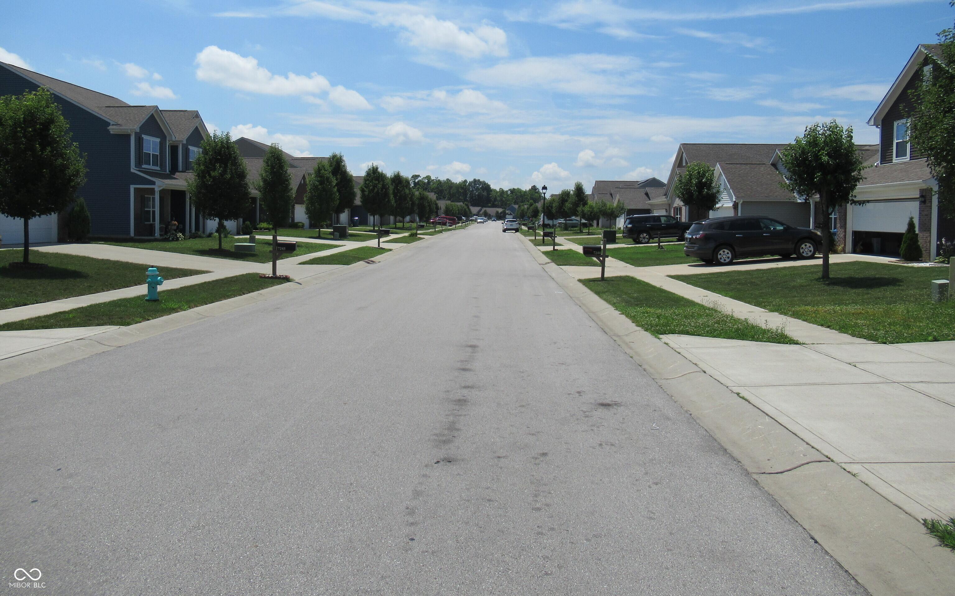 Photo #47