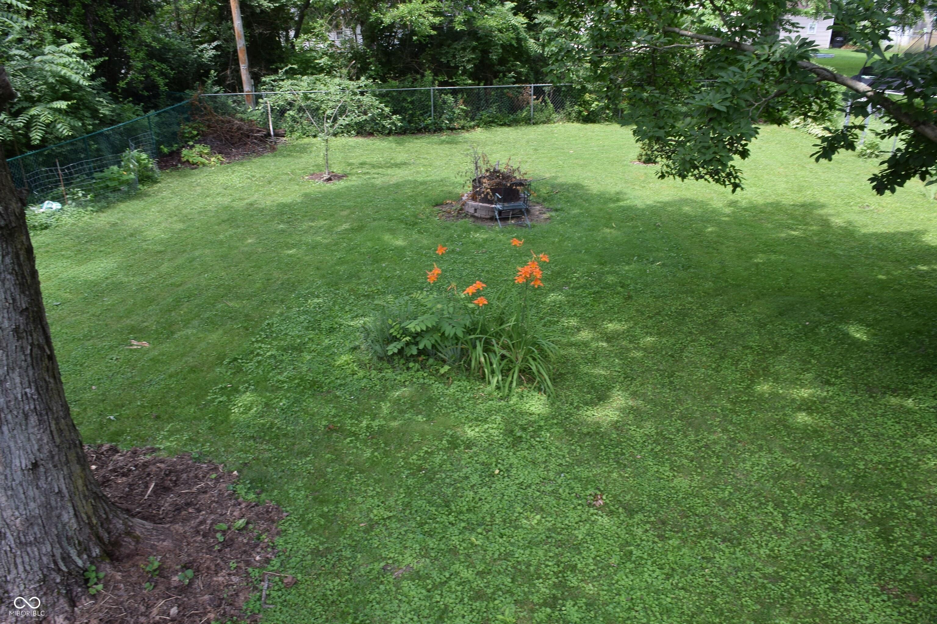 Photo #42