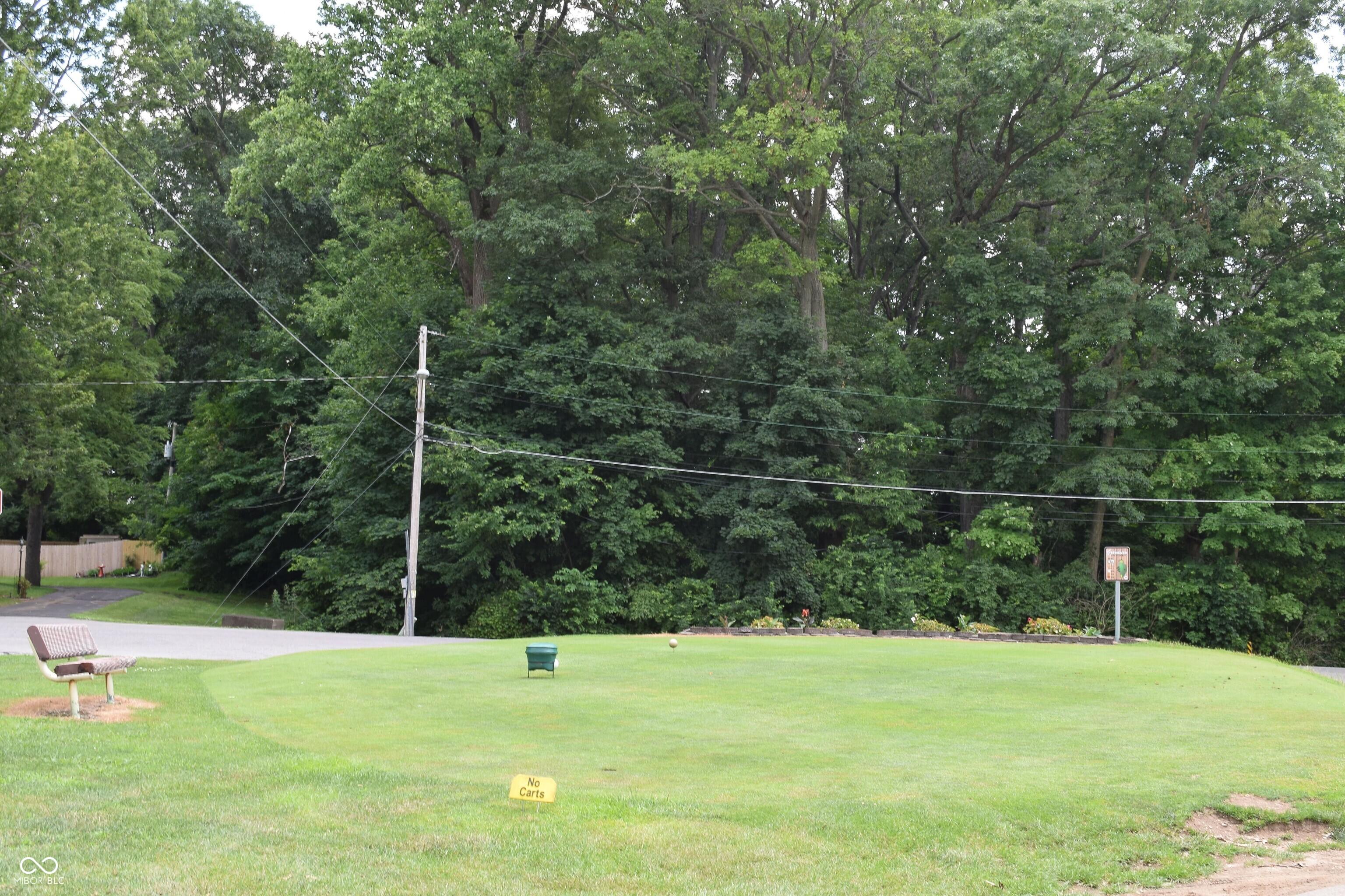 Photo #46