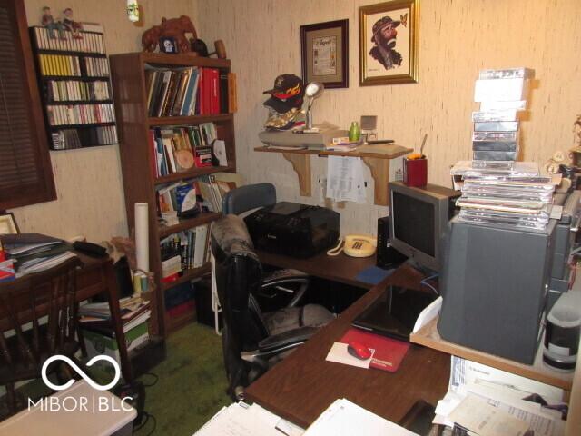 Photo #8
