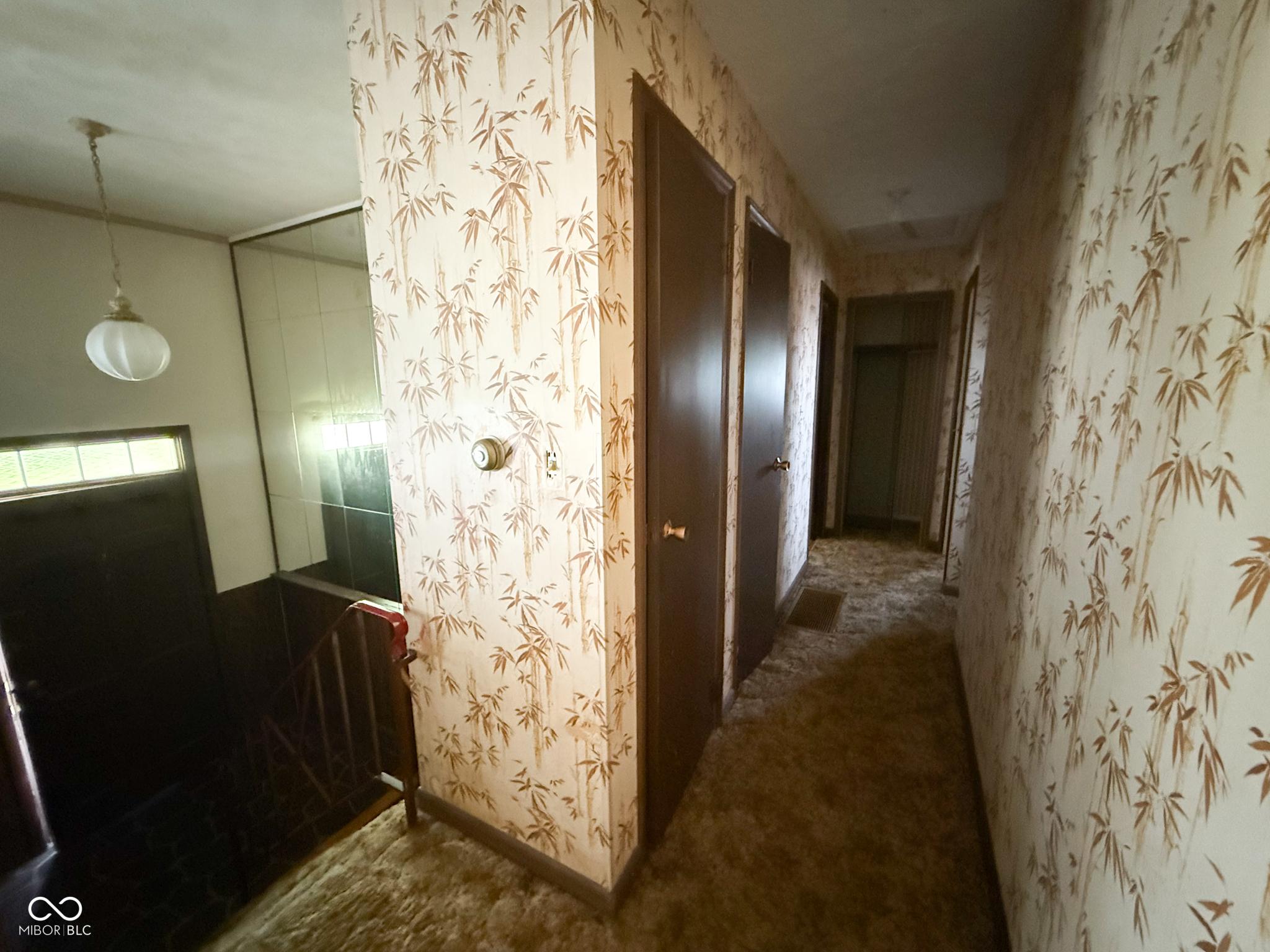 Photo #6