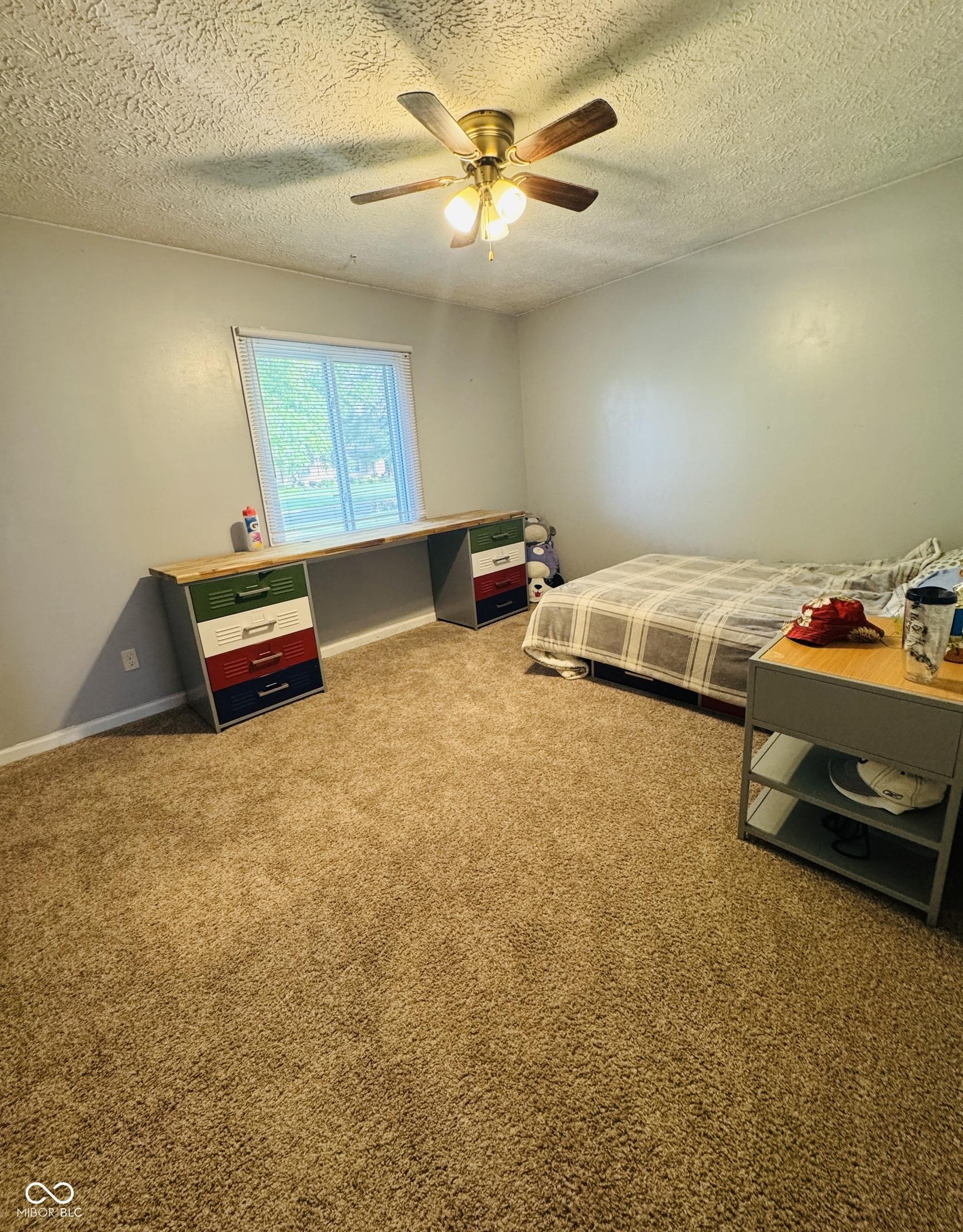 Photo #17