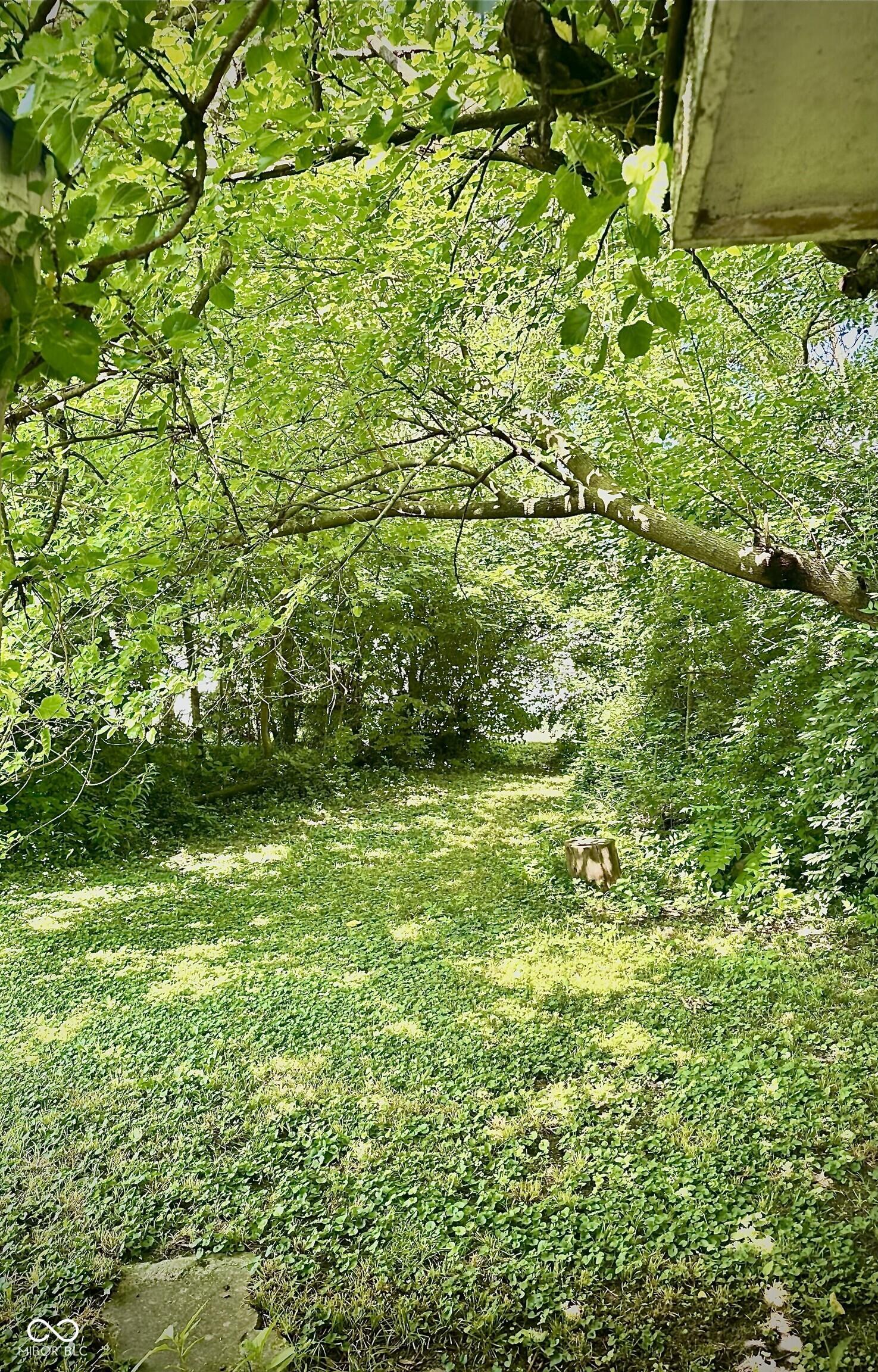 Photo #17
