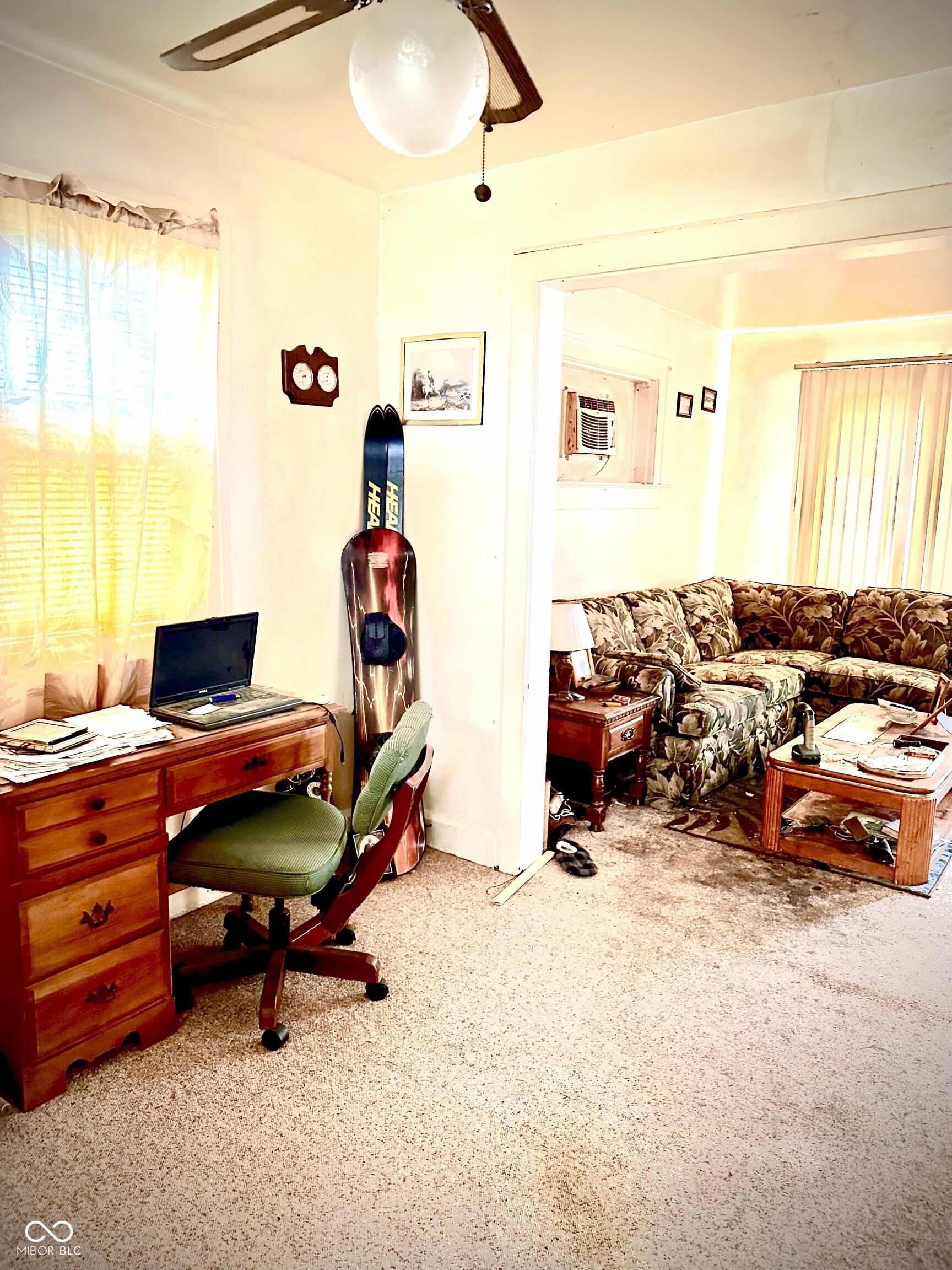 Photo #7