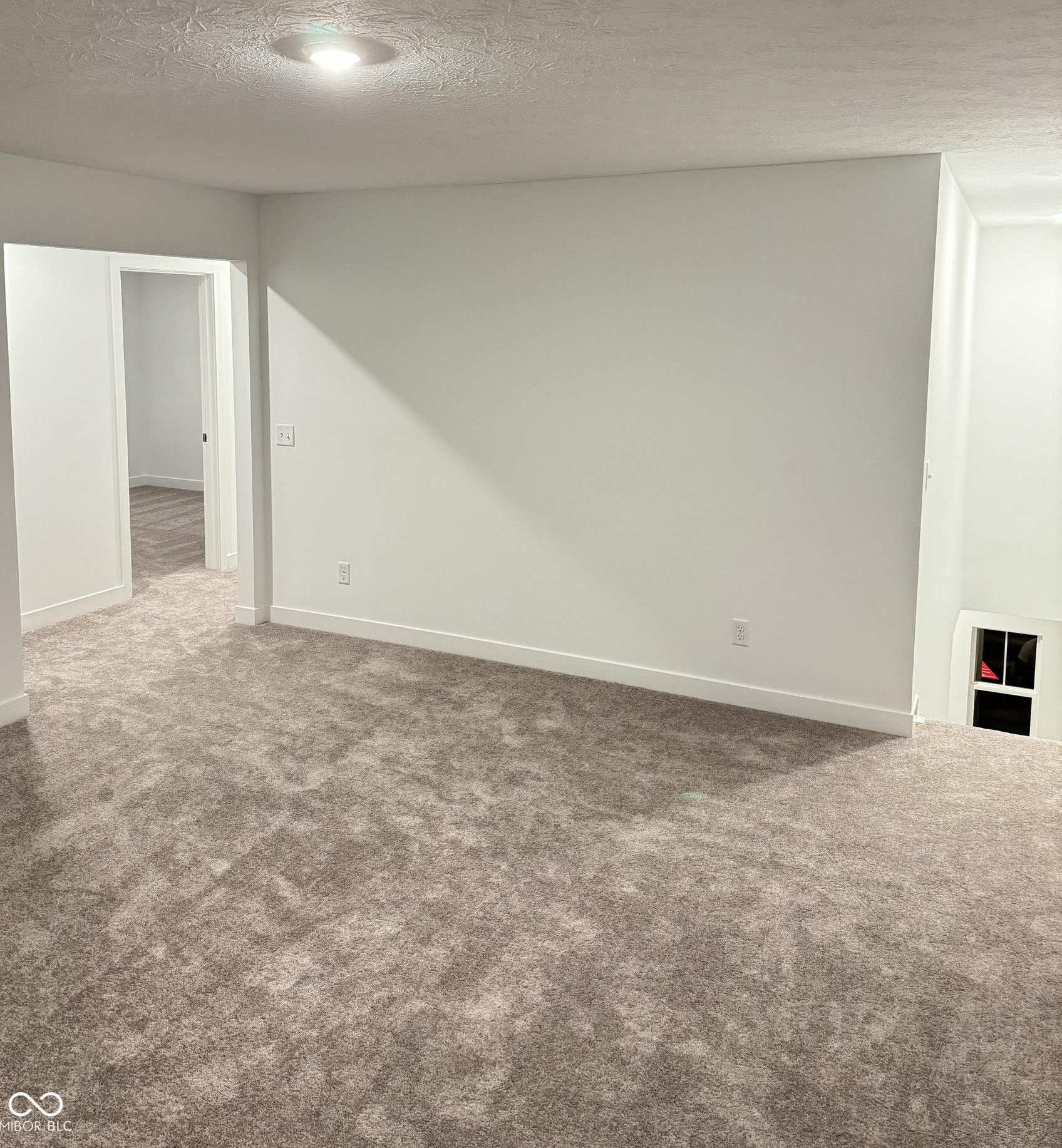 Photo #12