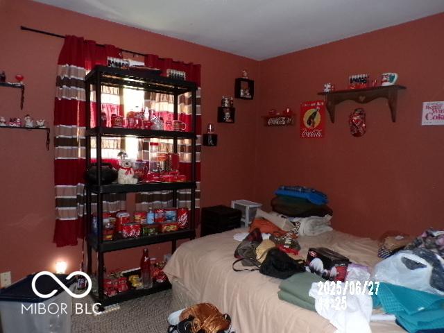 Photo #7