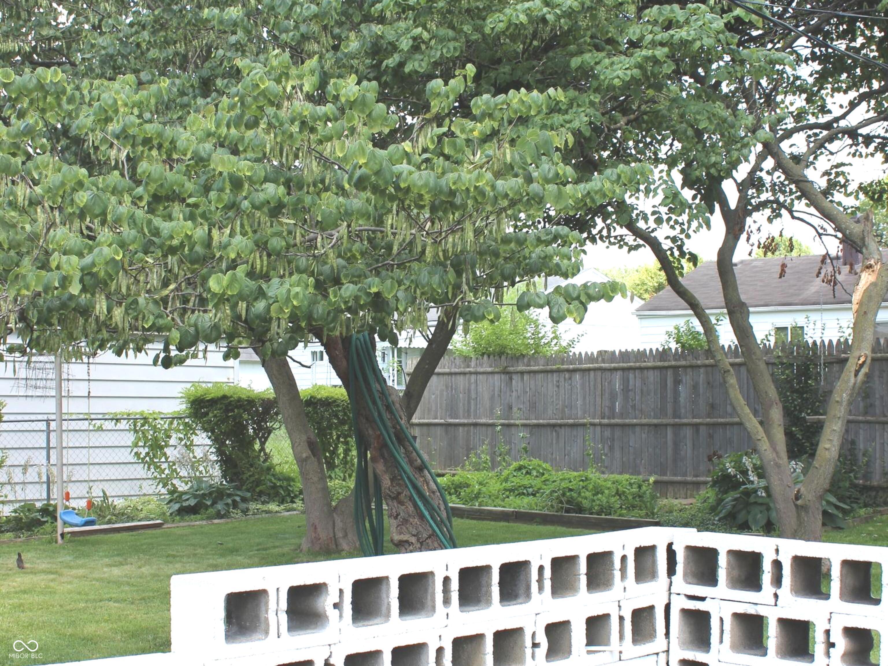 Photo #17