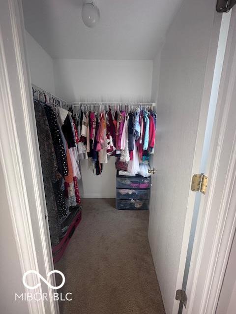 Photo #26