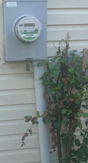 Photo #41