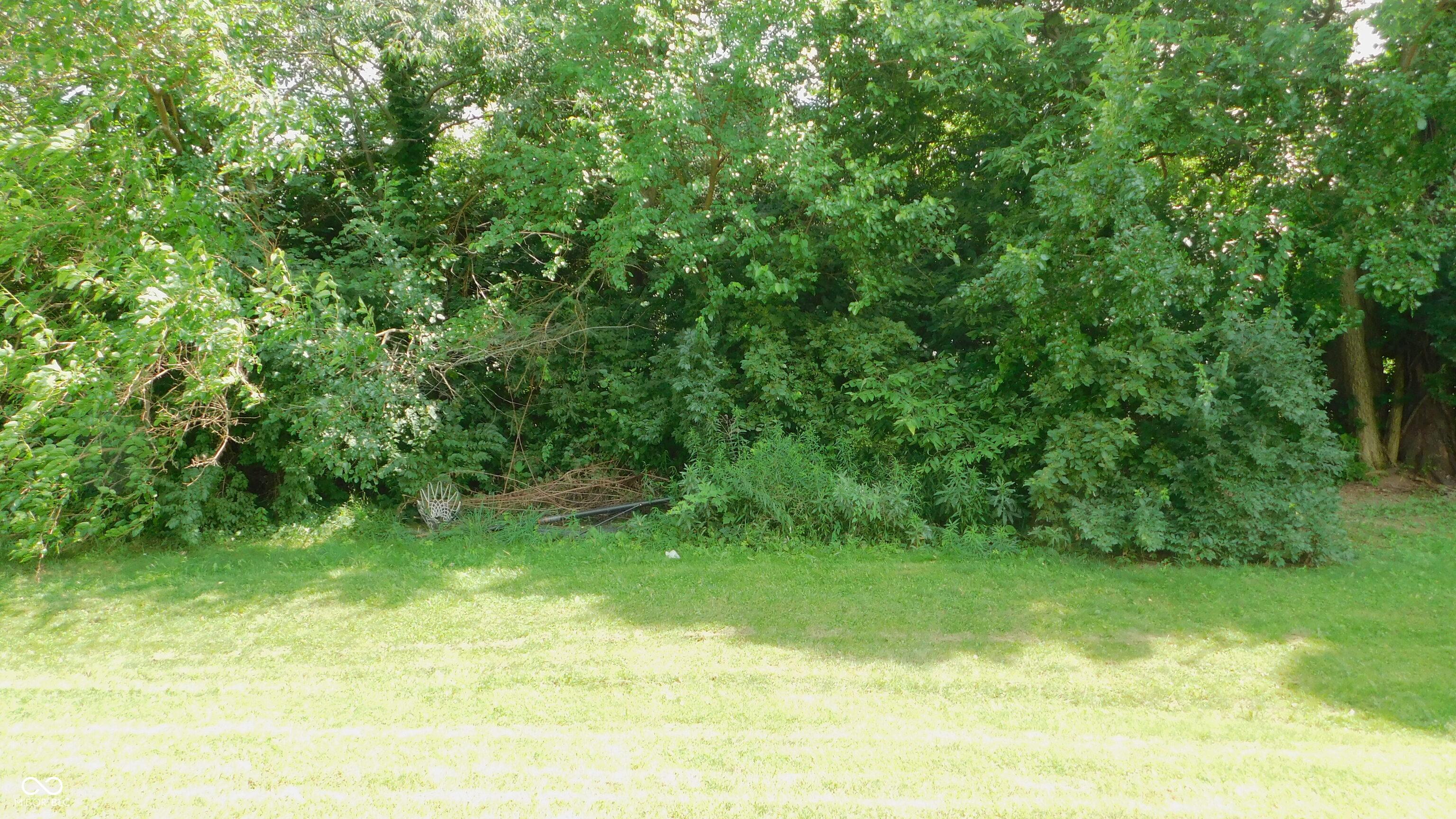 Photo #32