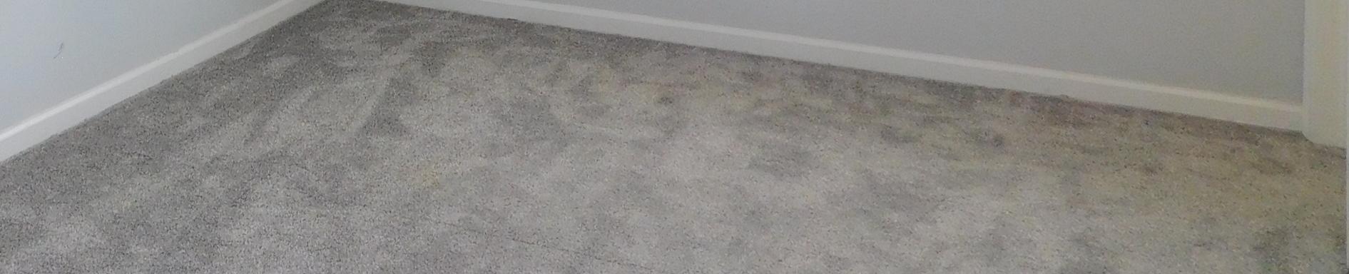 Photo #24