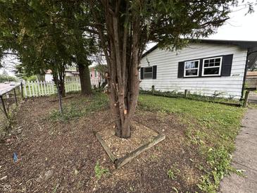 Exterior view of a home's front yard with a young tree and a white house with black shutters at 4109 East 21St St, Indianapolis, IN 46218